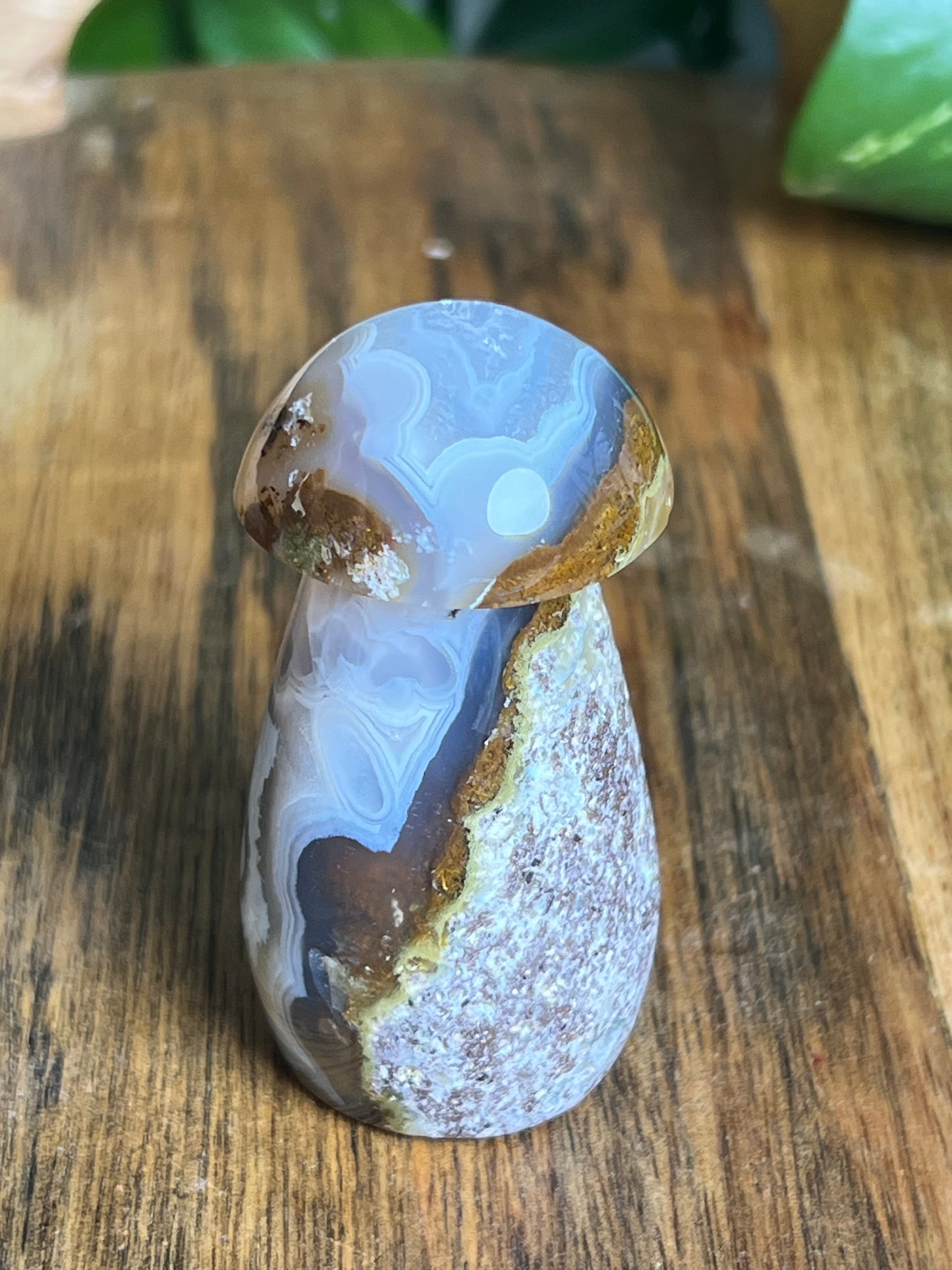 Scenic Moss Agate Mushroom
