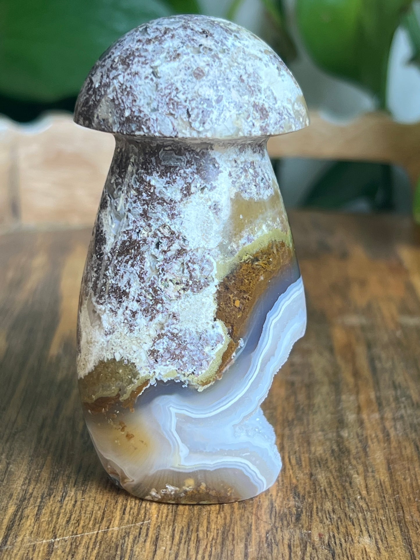 Scenic Moss Agate Mushroom