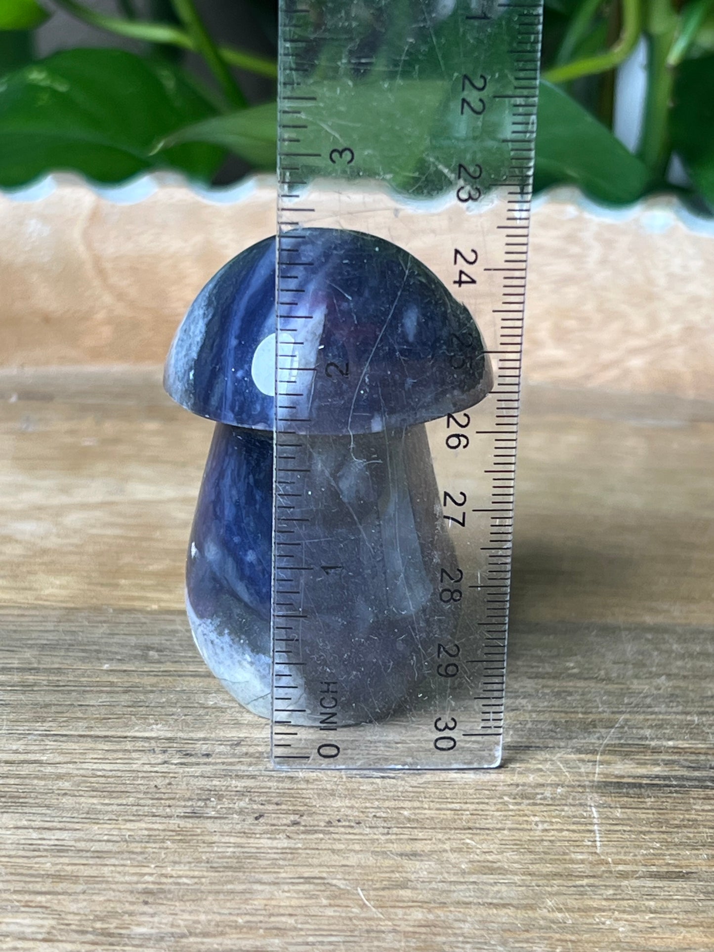Purple Chalcedony Mushroom