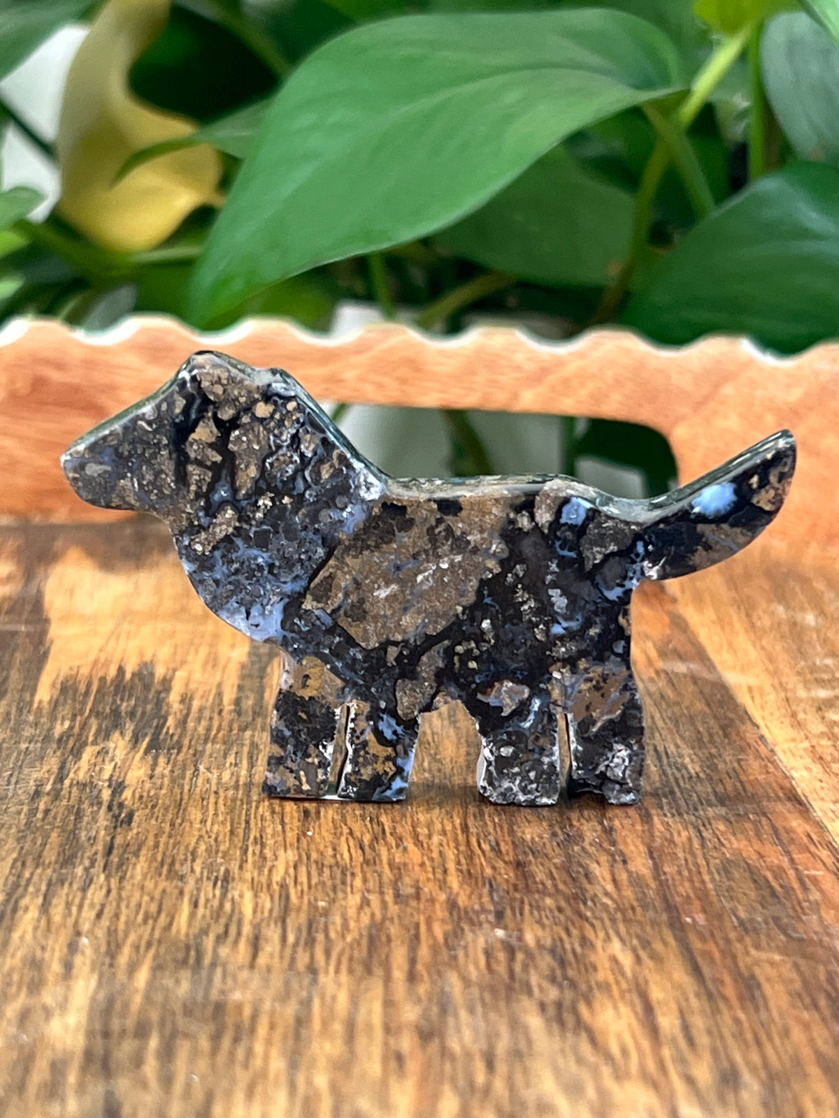 Moody Brecciated Jasper Dogs