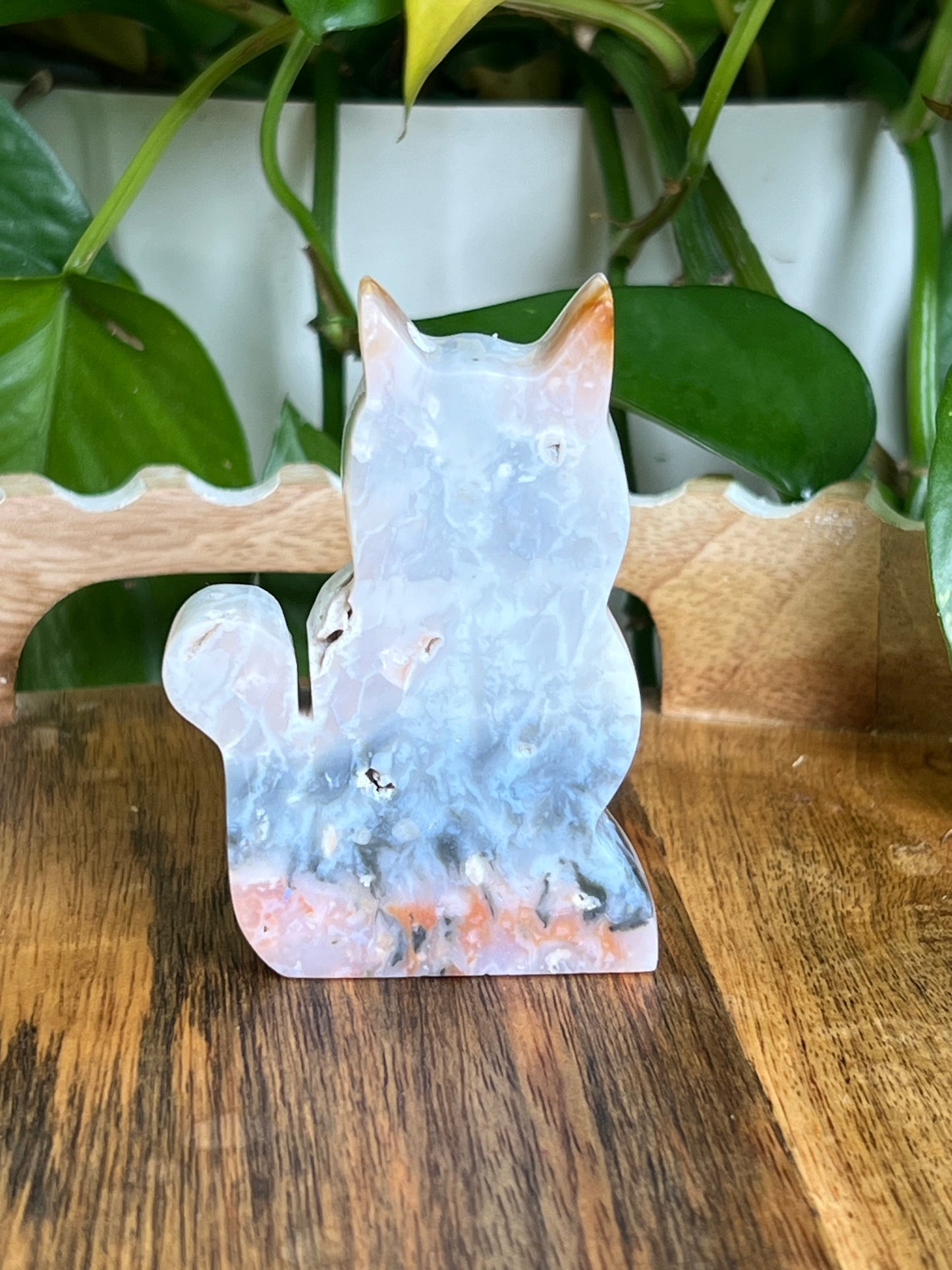 Rainbow Plume Agate Cat NG