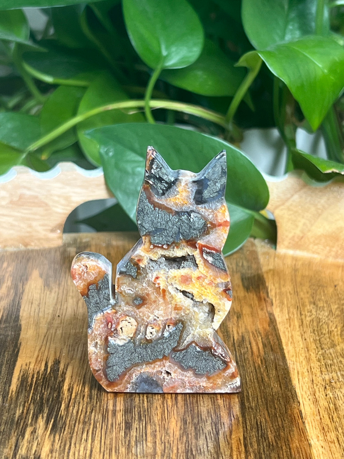 Marcasite Cat: DG