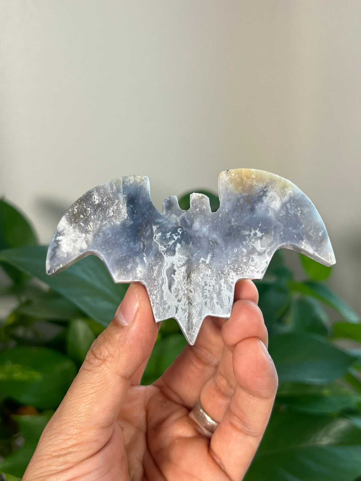 Blue Plume Agate 3D Bats