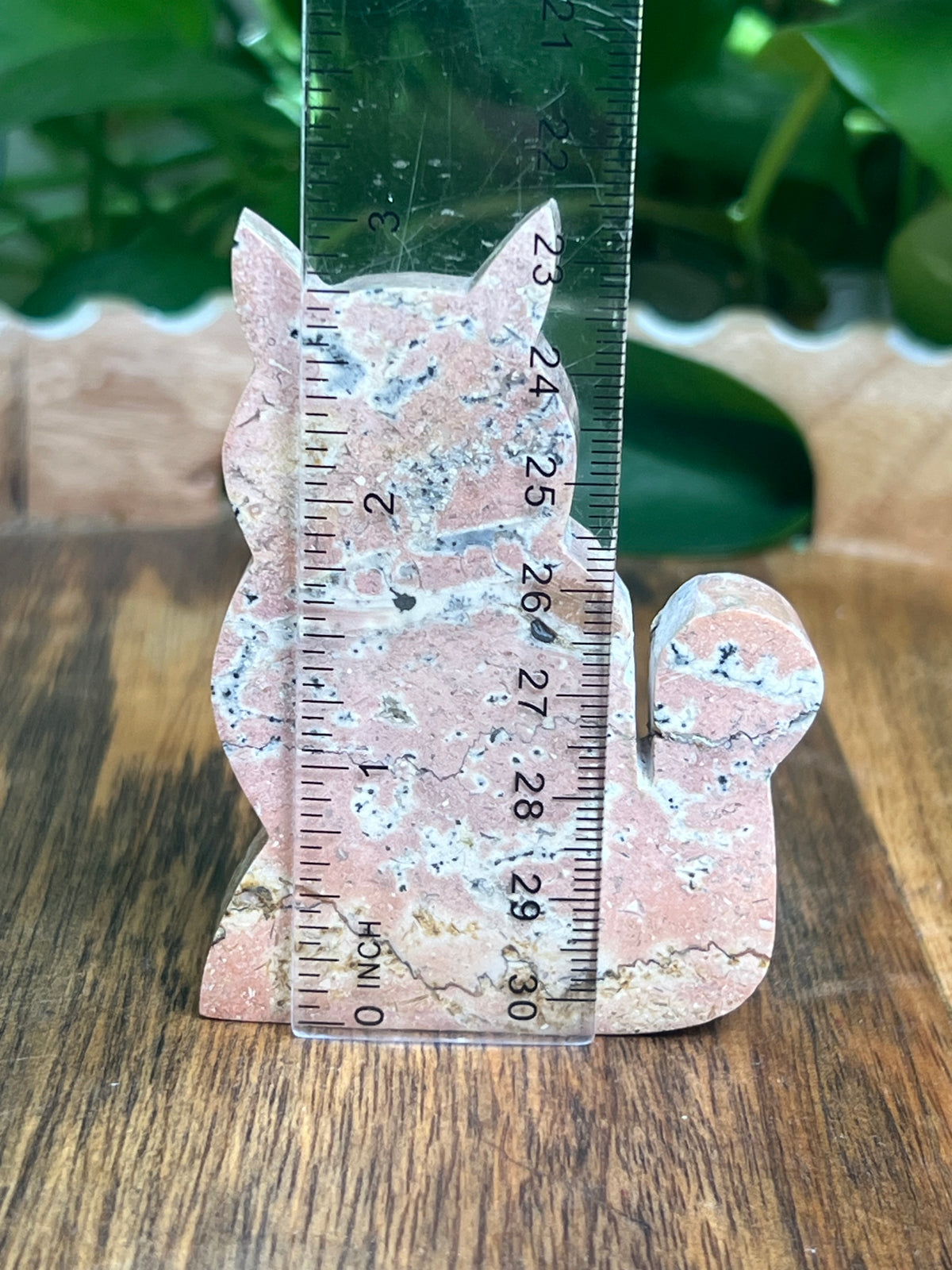 Dendritic Jasper Cat: AC