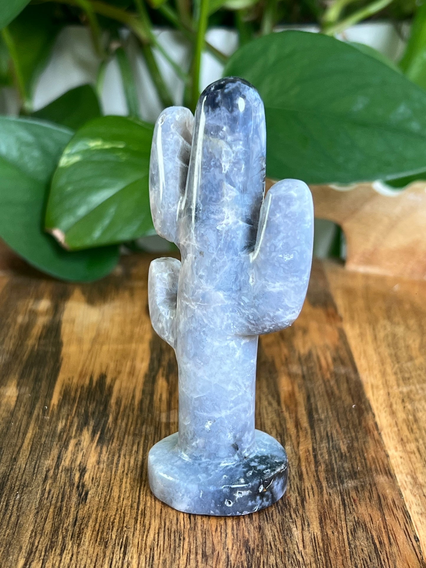 Blue Plume Agate Cactus: CA
