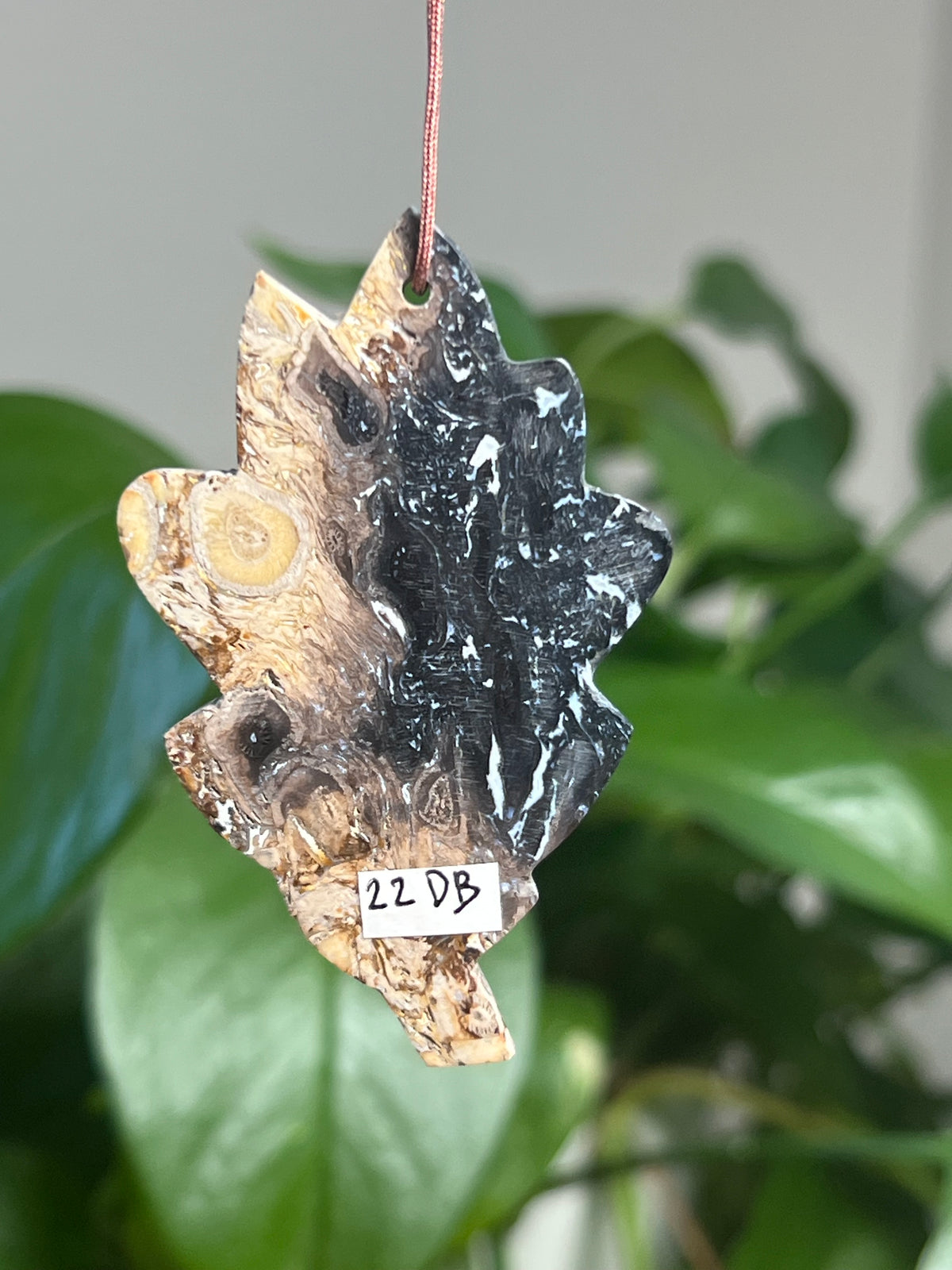 Palm Root Leaf Ornaments