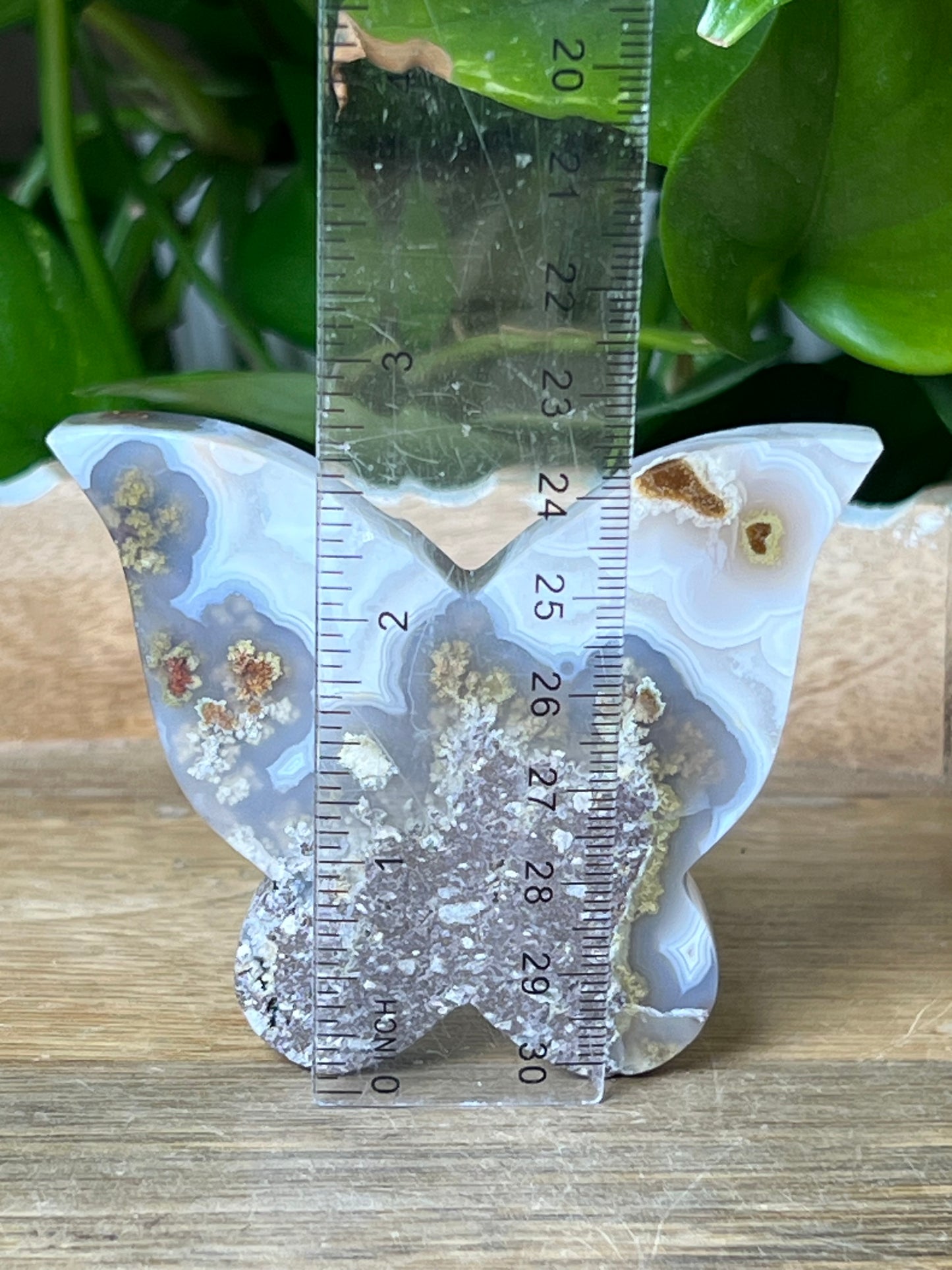 Scenic Moss Agate Butterfly