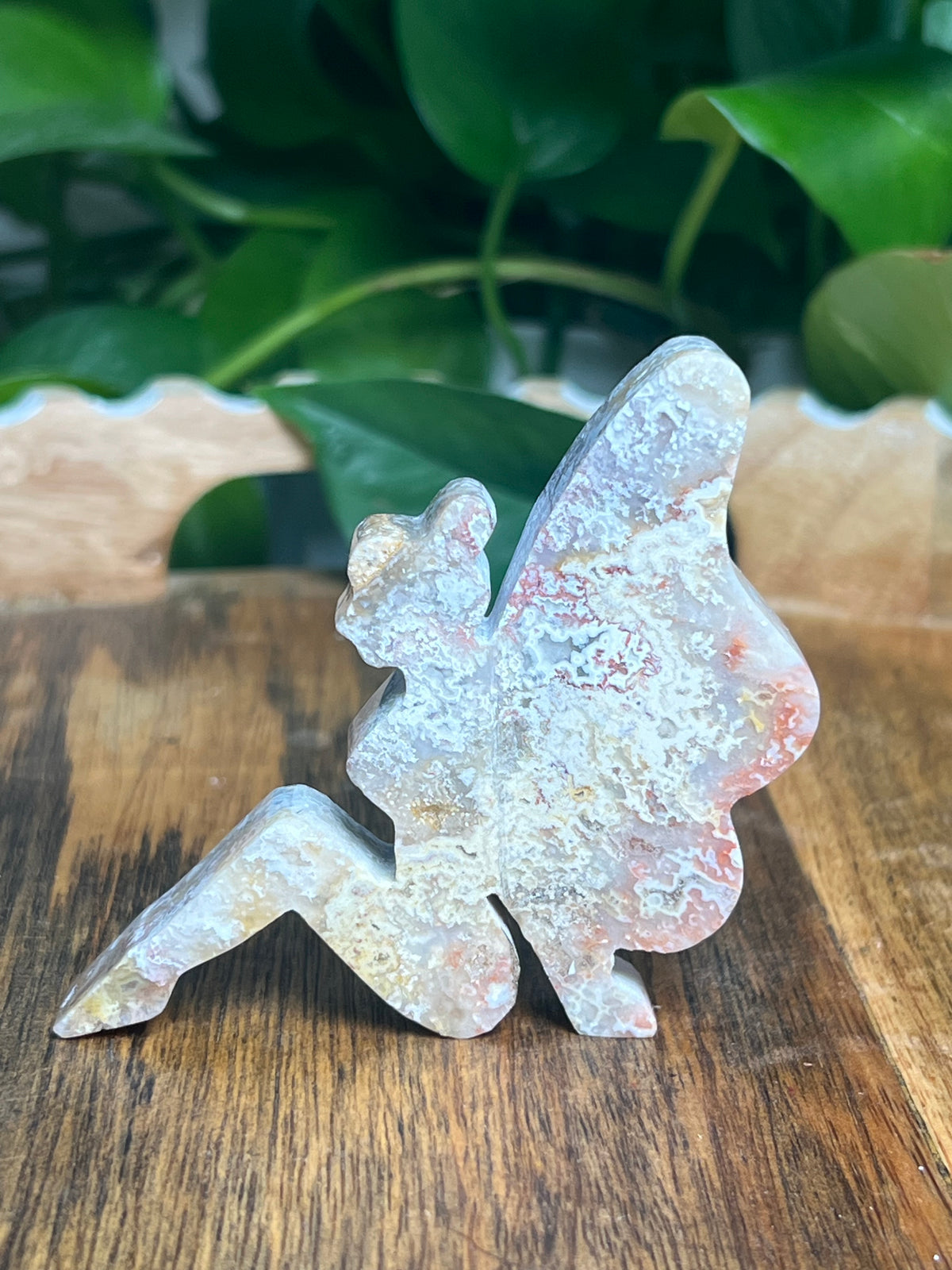 Sumatra Plume Agate Pixie Fairy: D
