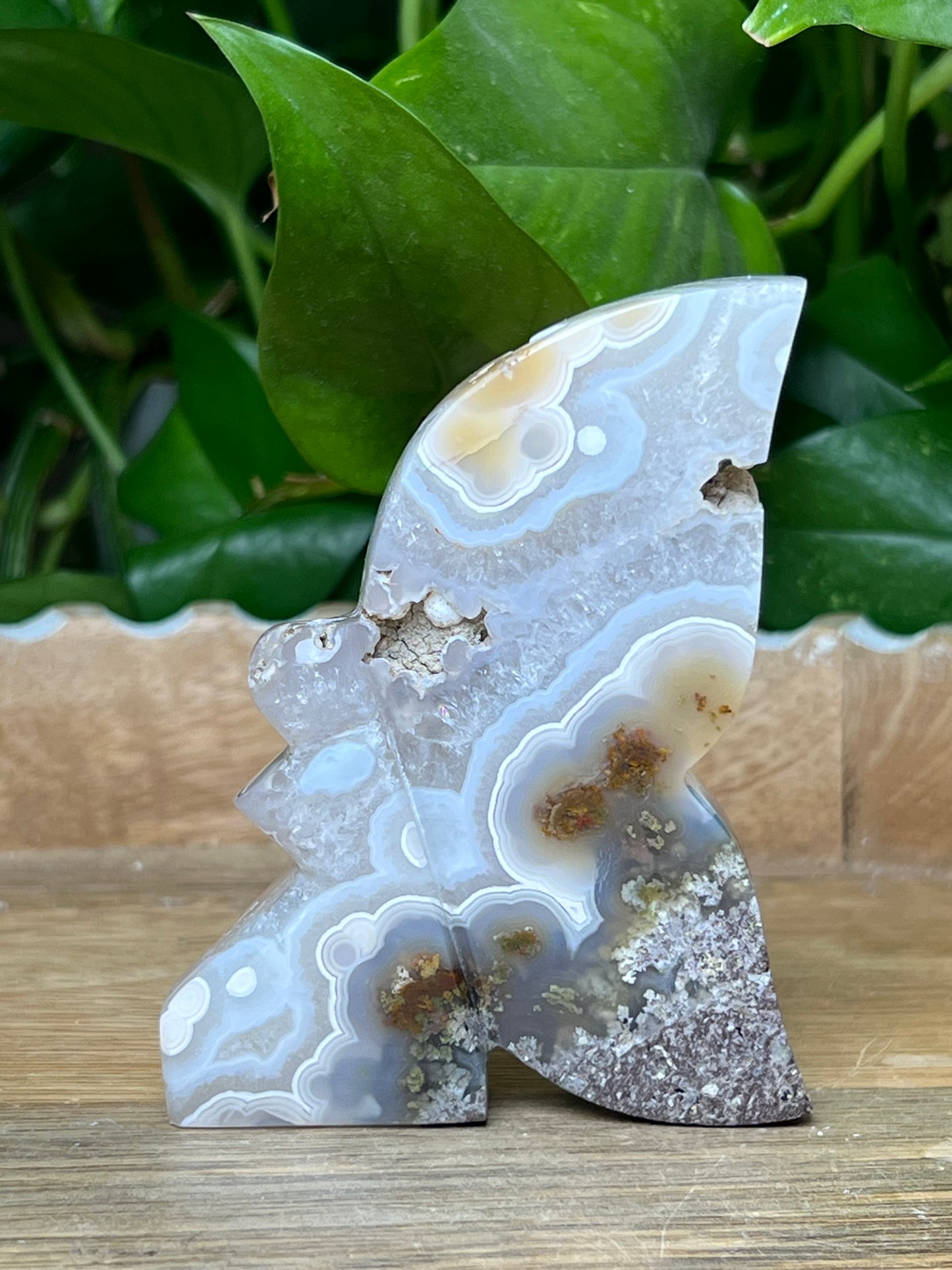 Scenic Moss Agate Fairy