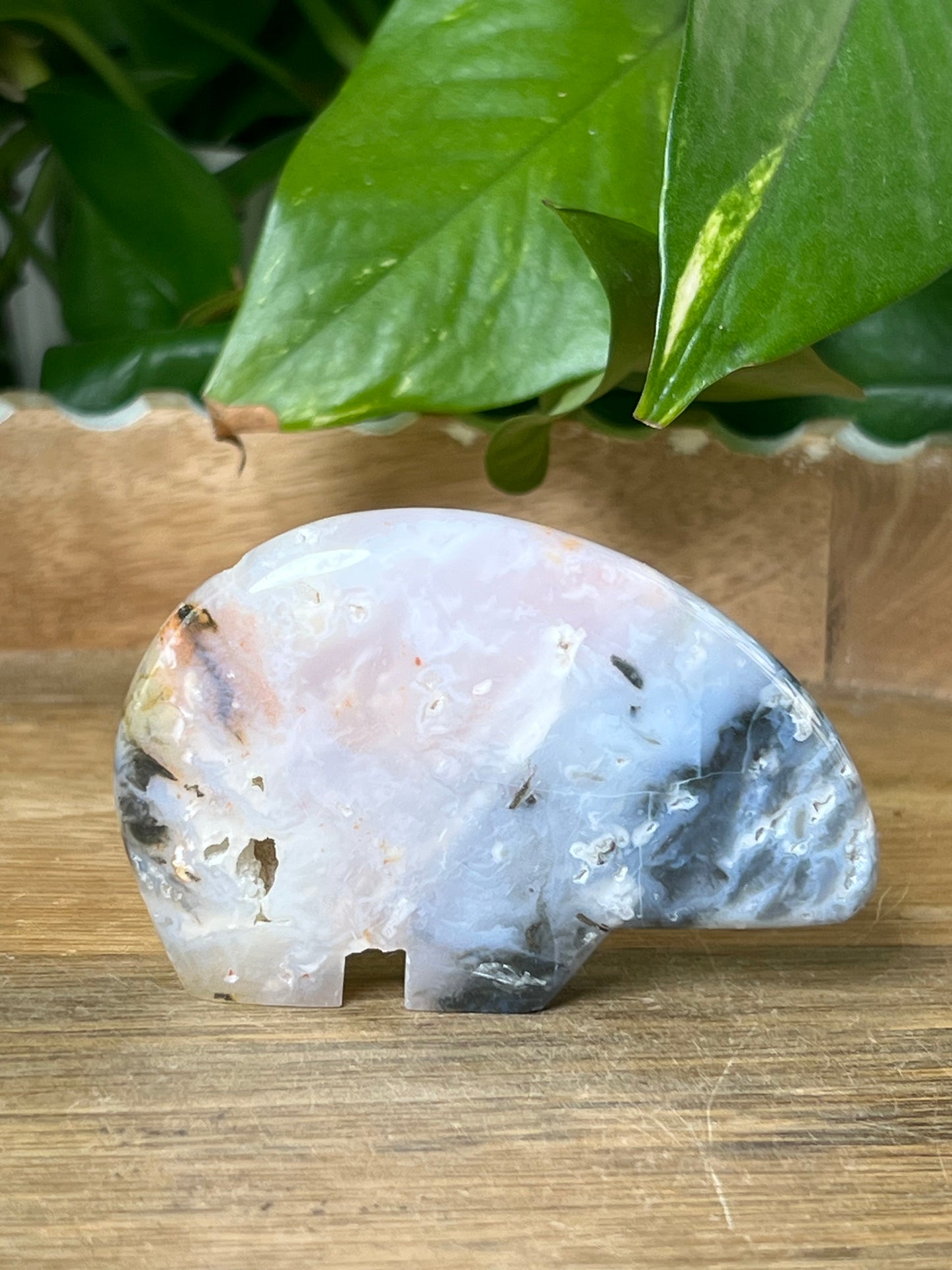 Rainbow Plume Agate Bear