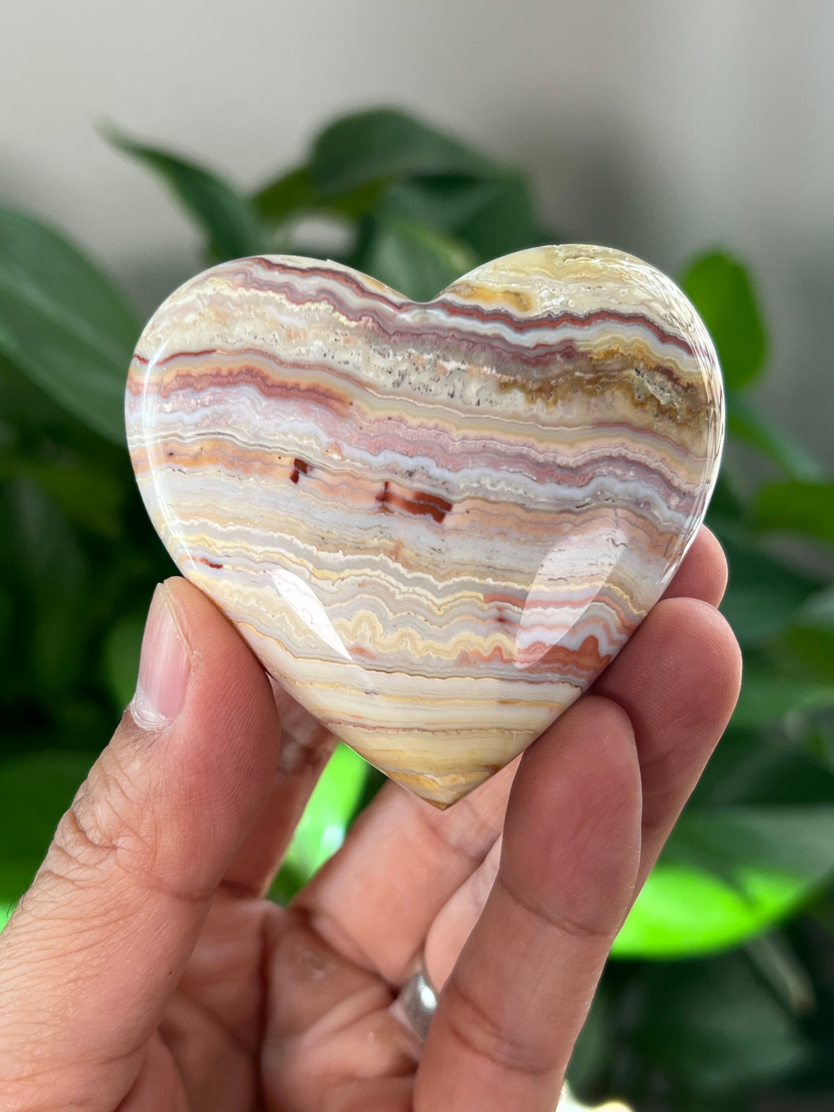 Crazy Lace Agate Small Puffy Moons