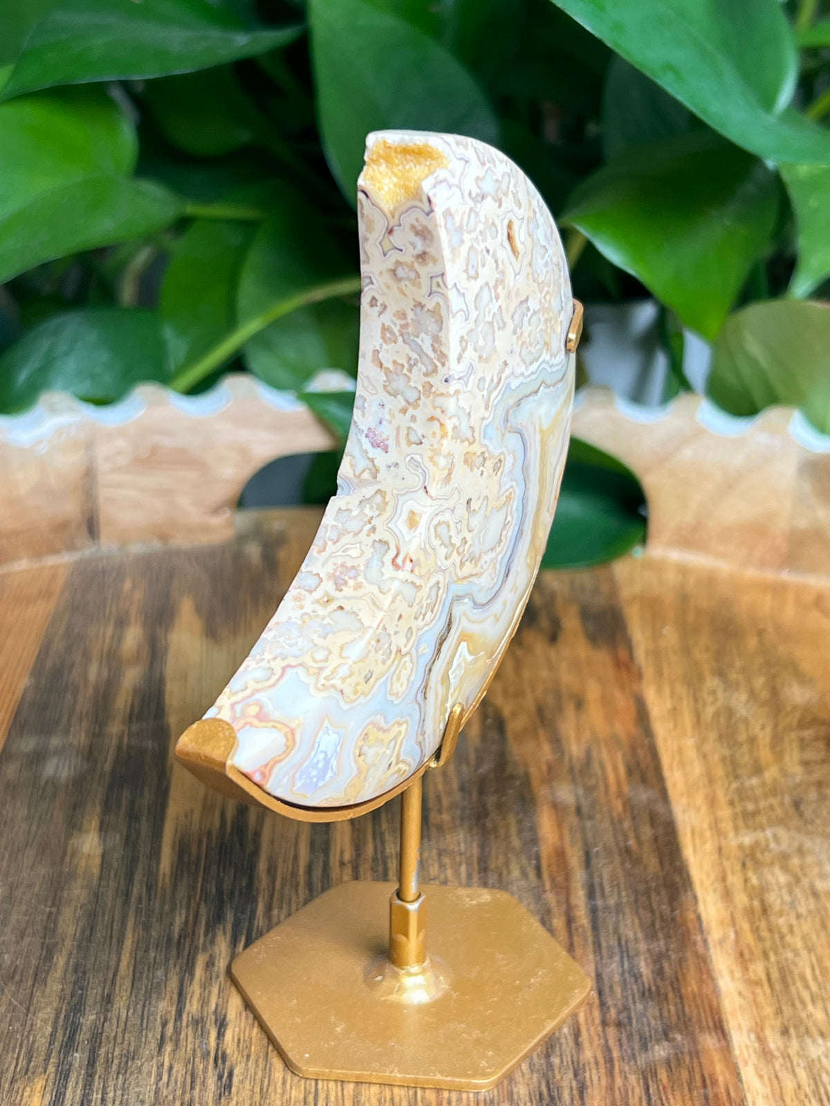 Yellow Crazy Lace Agate Moon: ED