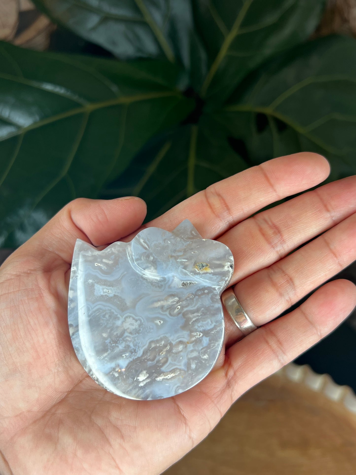 Blue Grey Lace Agate Cat