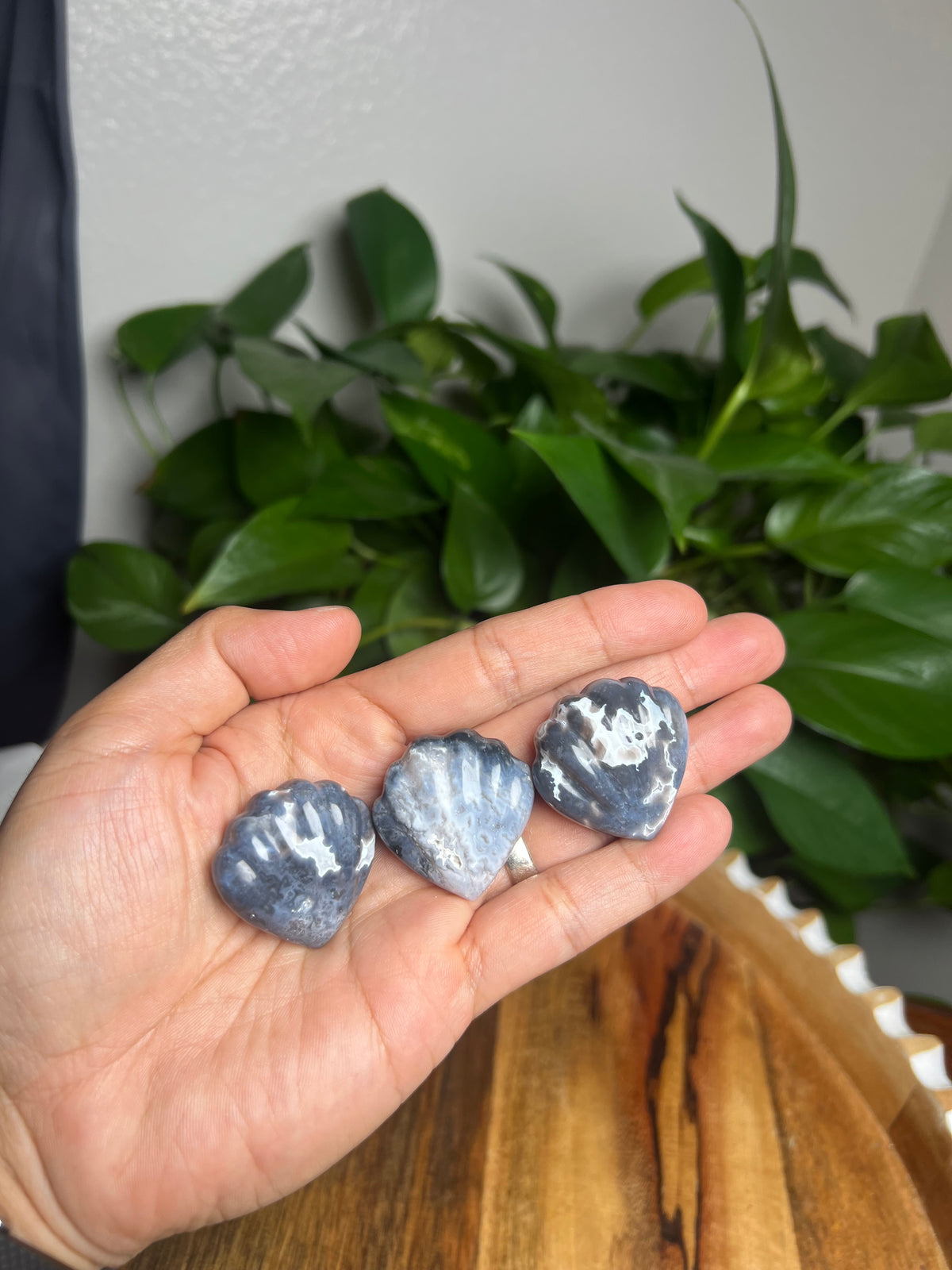 Blue Plume Agate Shells