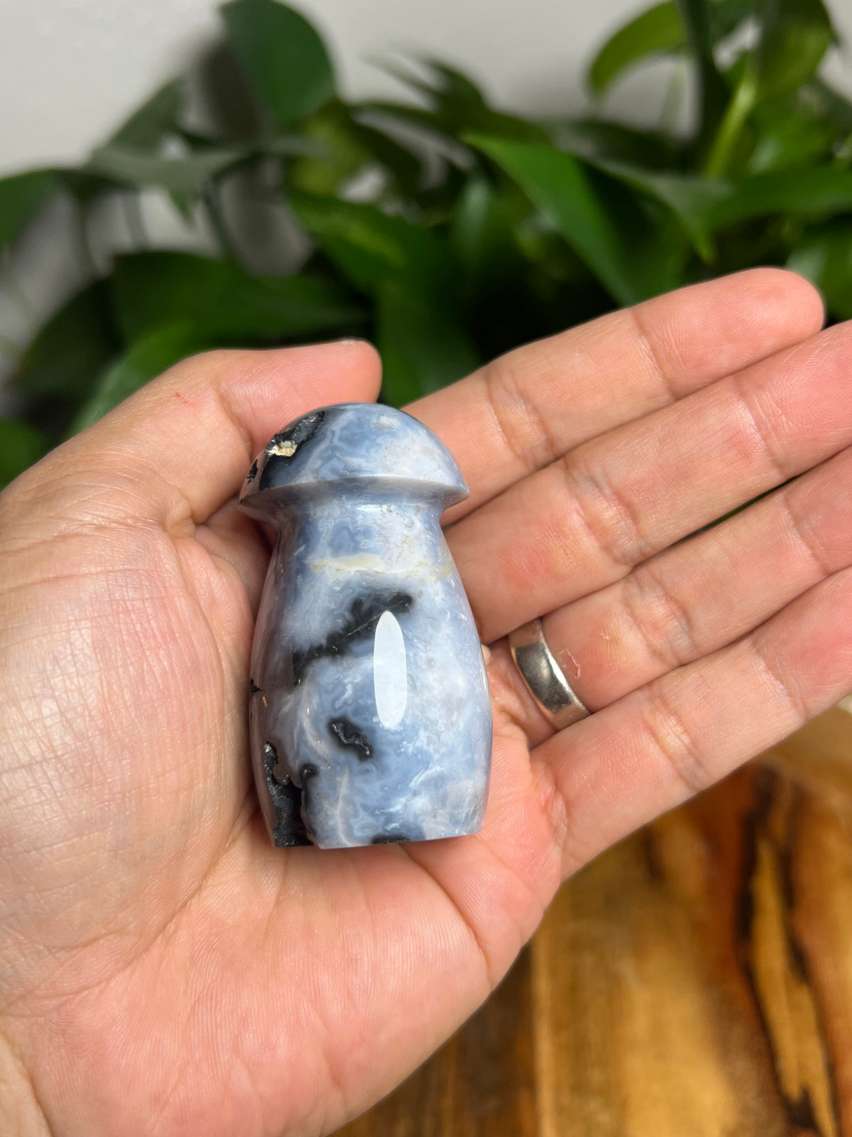 Blue Plume Agate Mushroom: A