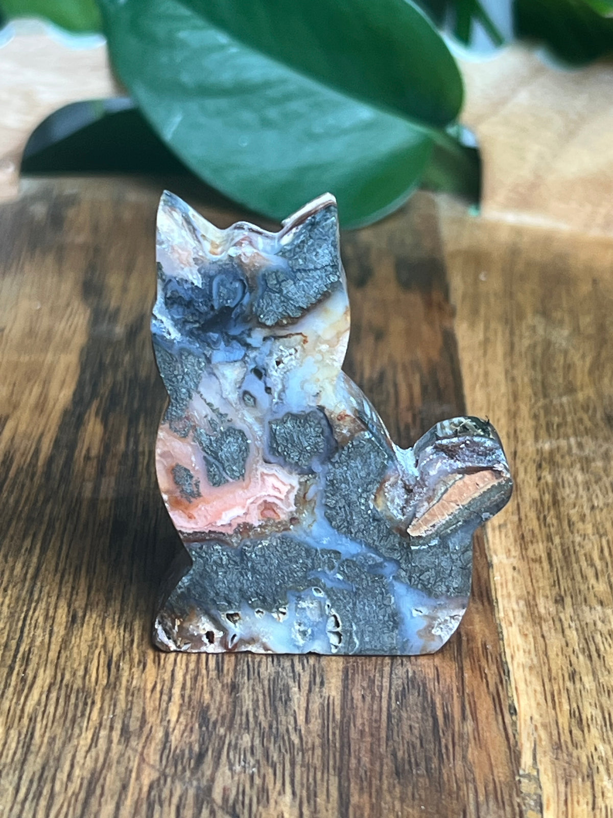 Marcasite Mini Cat: XG