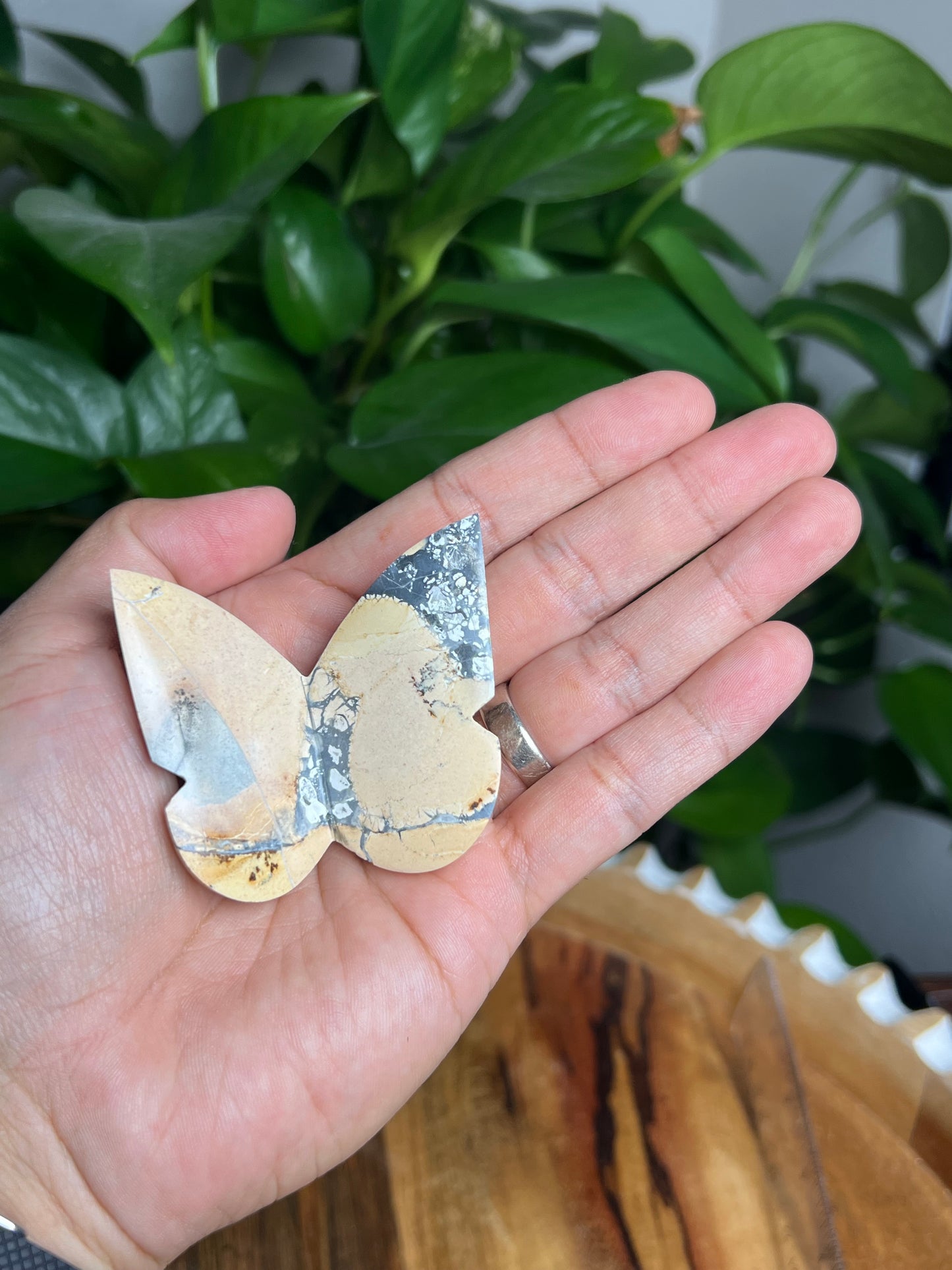 Maligano 3D Butterfly: BK