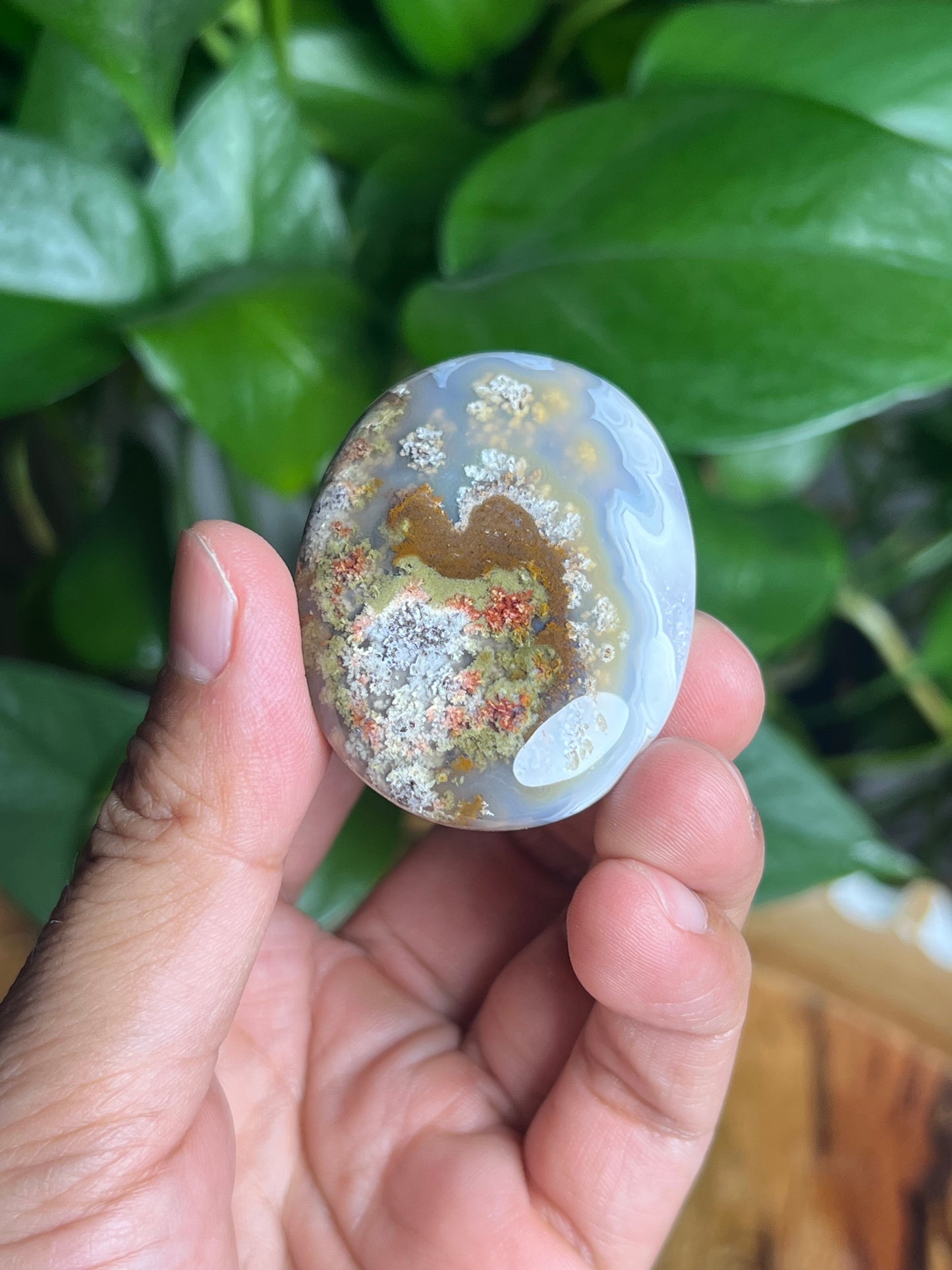 Scenic Moss Agate Palmstone: Bi