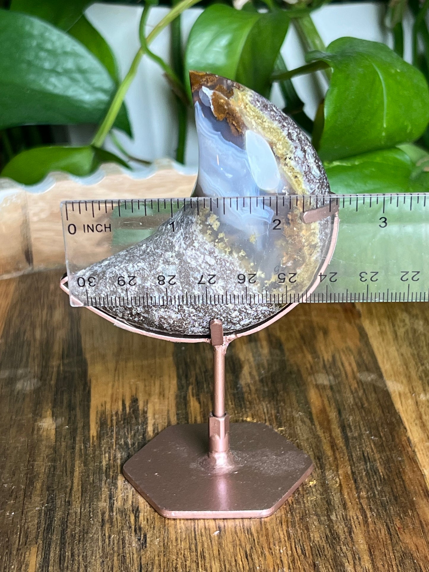 Scenic Moss Agate Moon