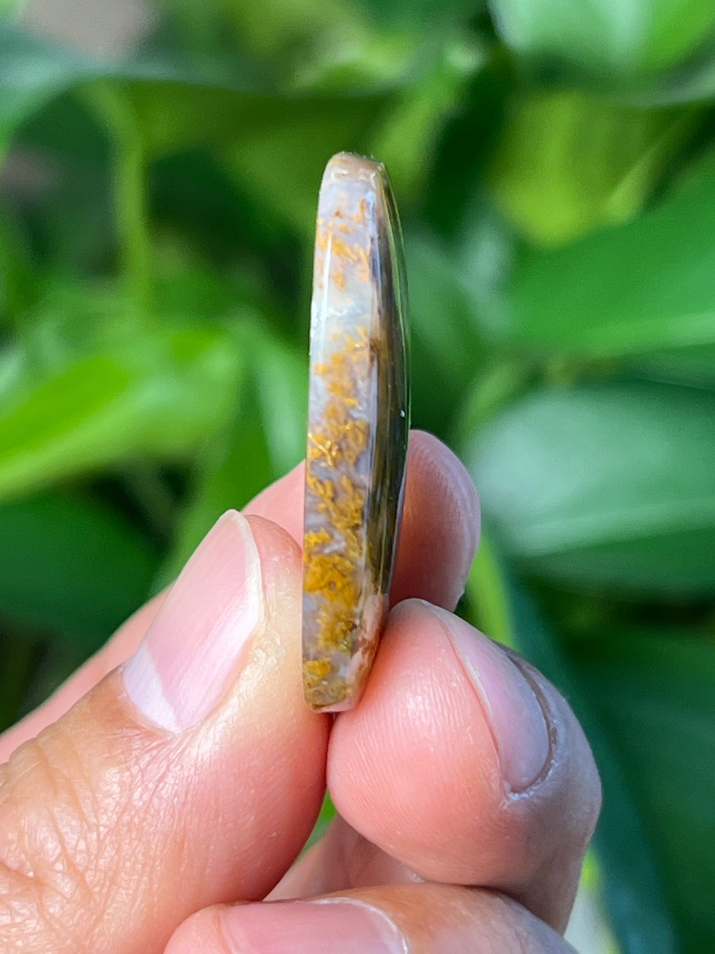 Scenic Moss Agate Cabochon