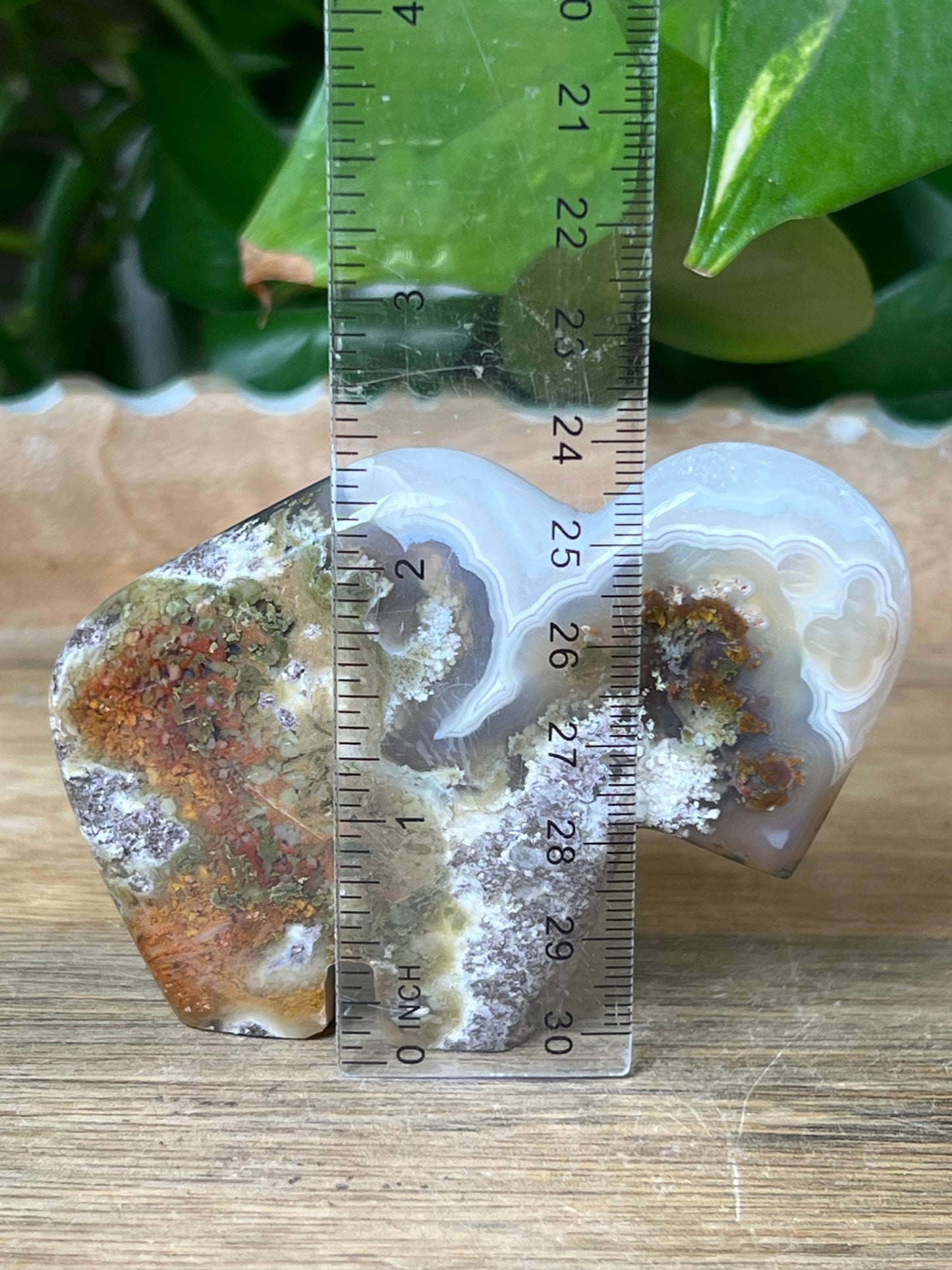 Scenic Moss Agate Buffalo