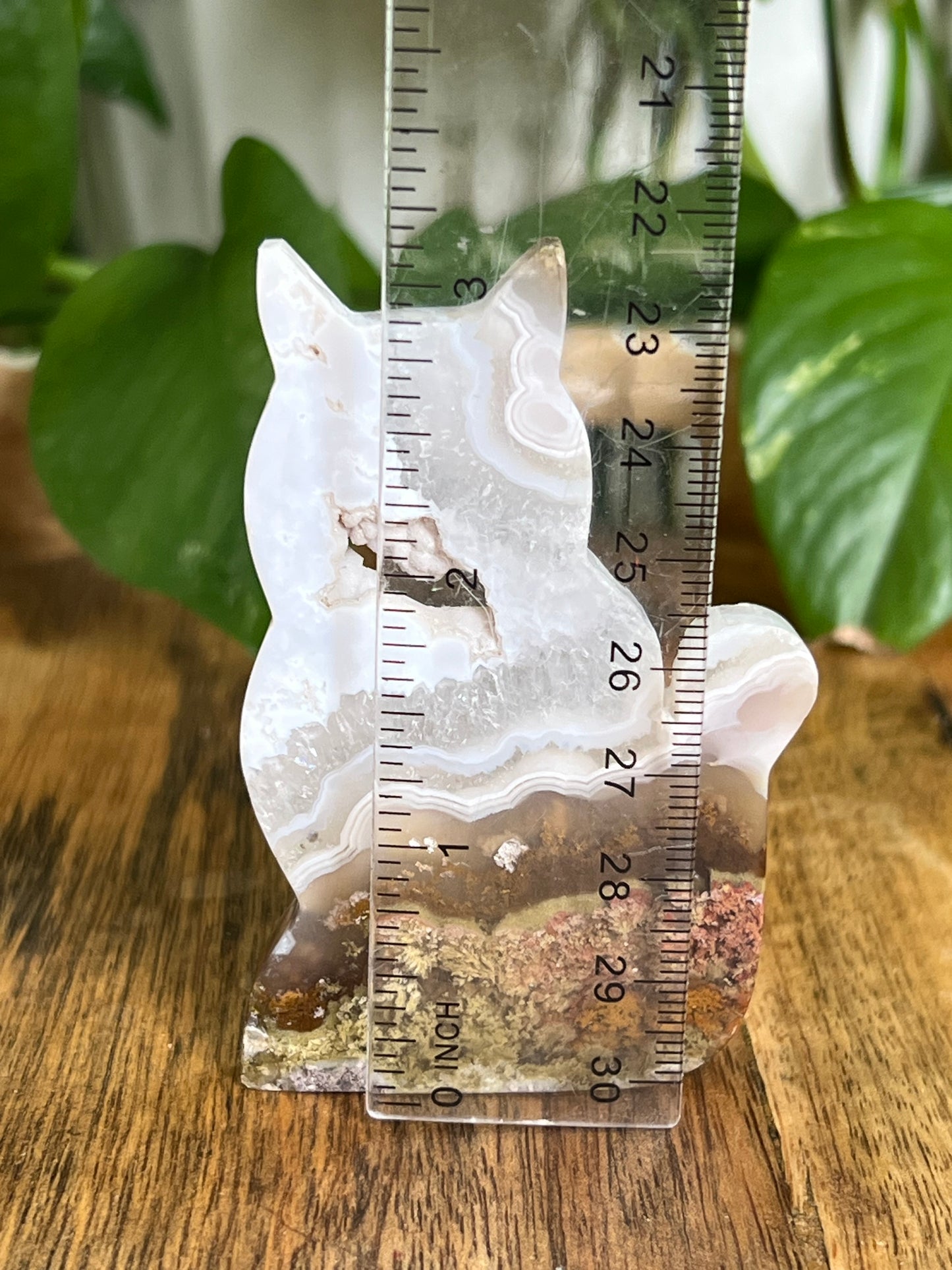 Scenic Moss Agate Cat HQ