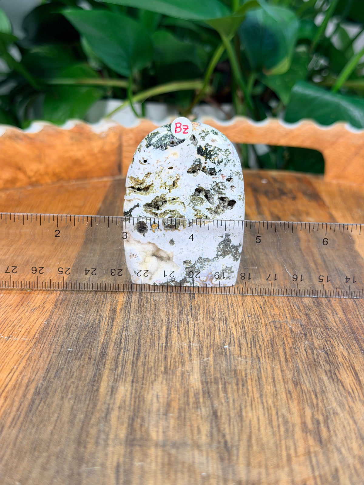Sea Jasper Mini Freeforms