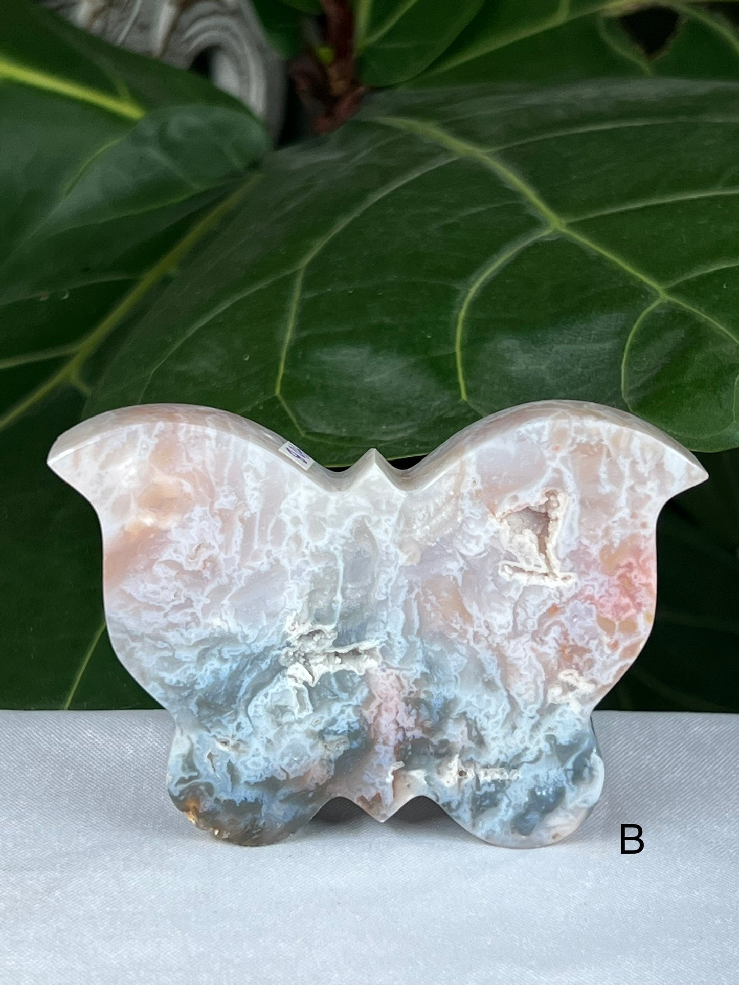 Rainbow Plume Agate Butterfly