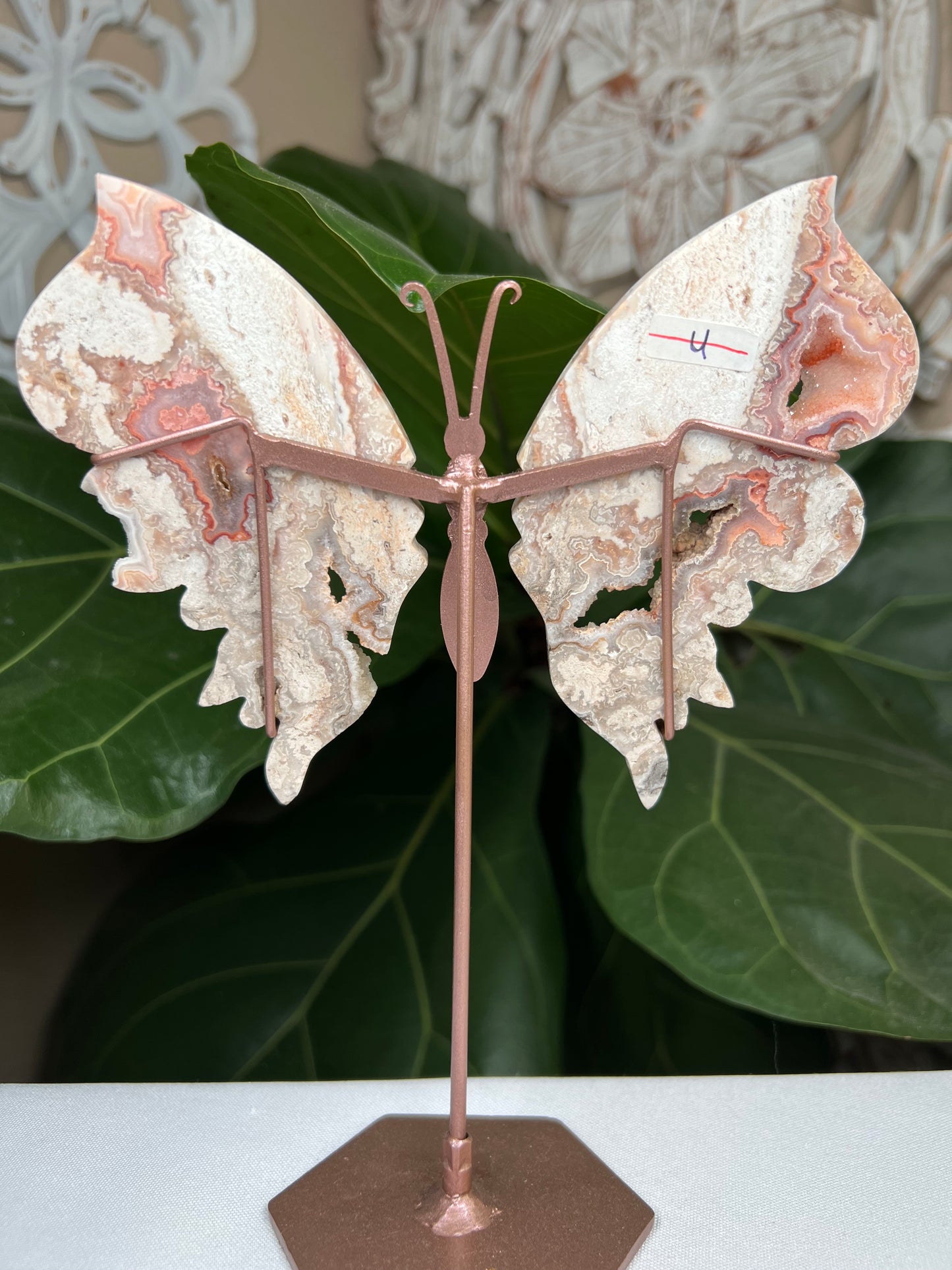 Crazy Lace Agate Wings