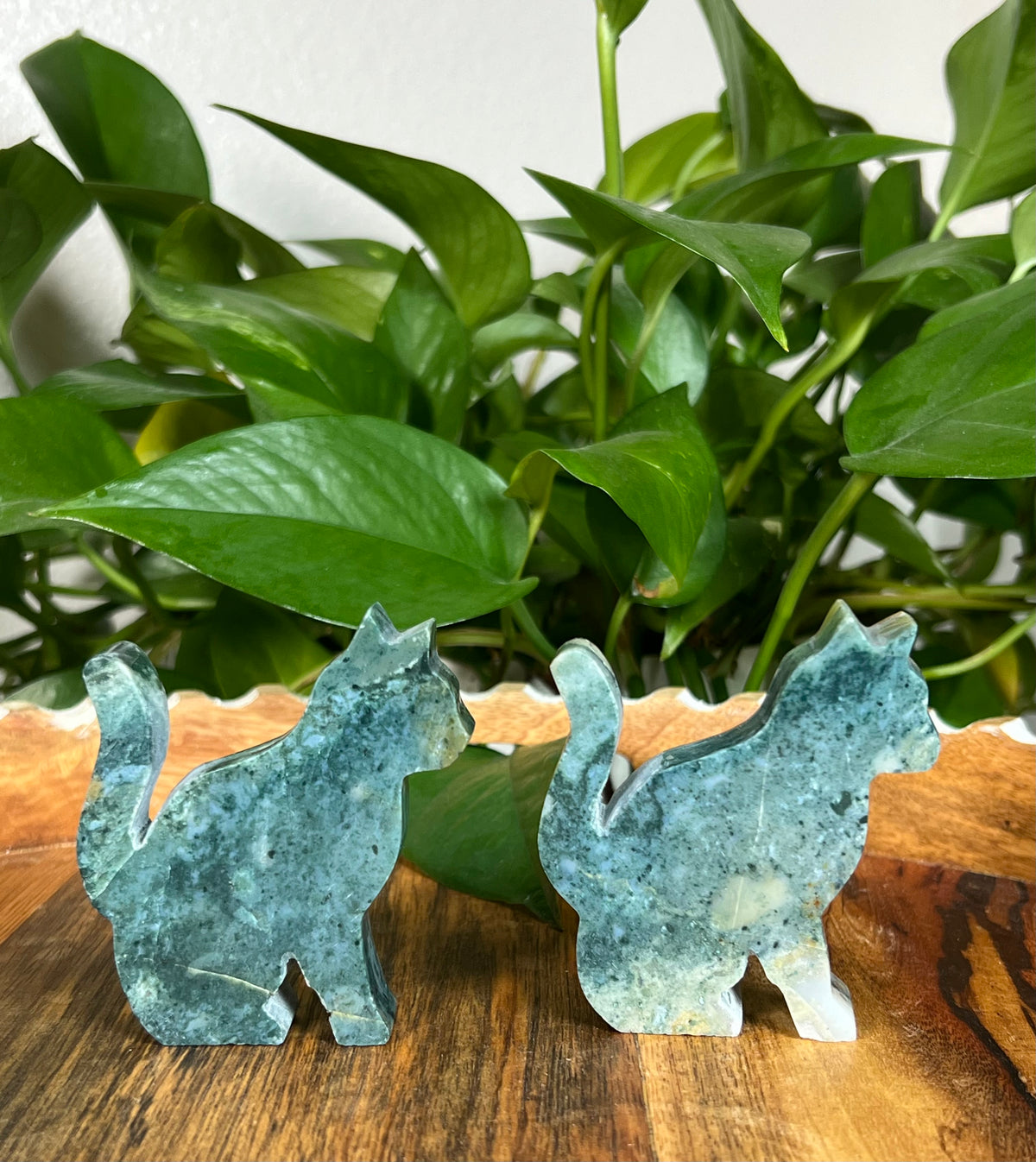 Blue Green Jasper Cats