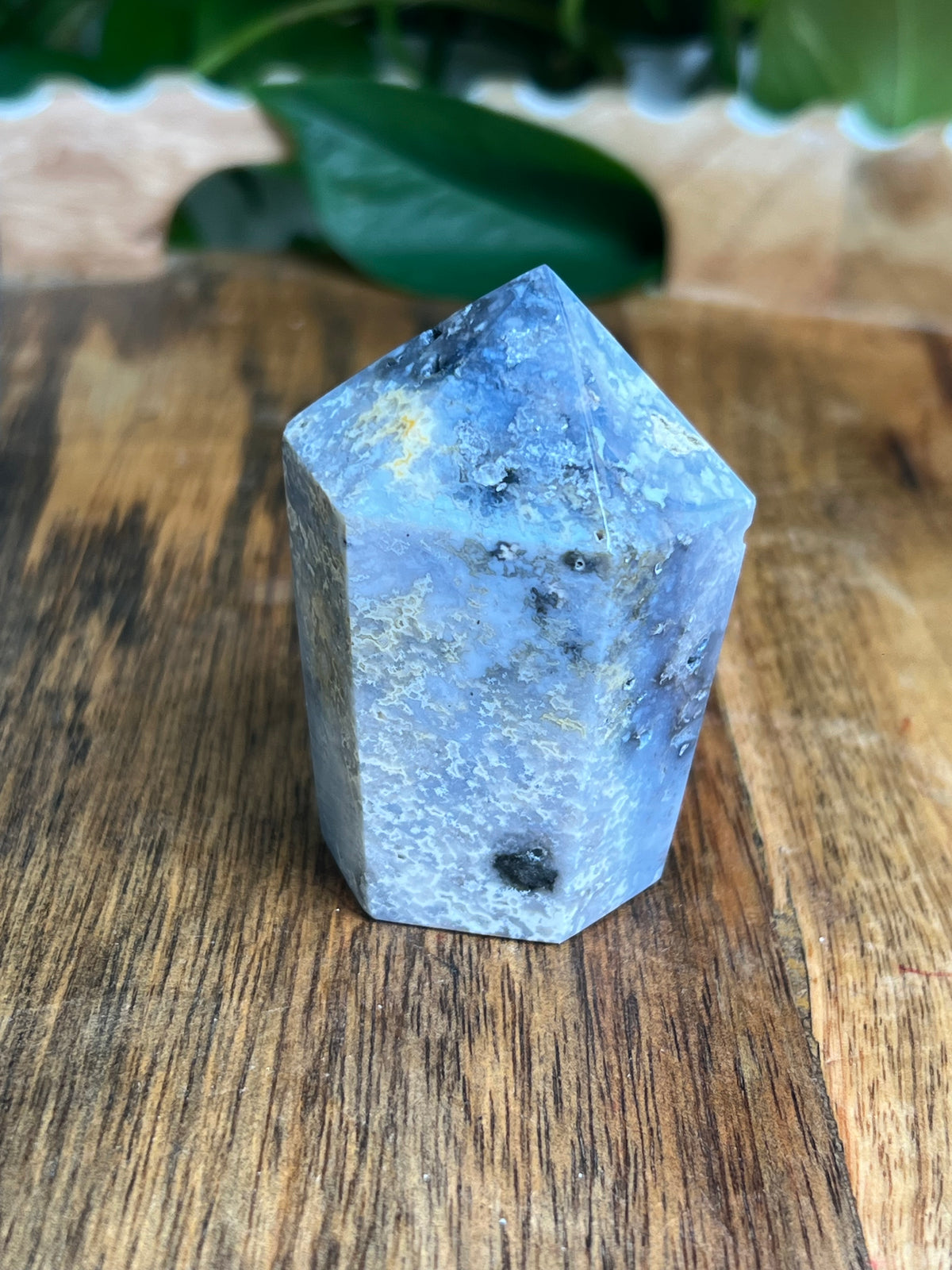 Blue Plume Agate Cupcake: EJ