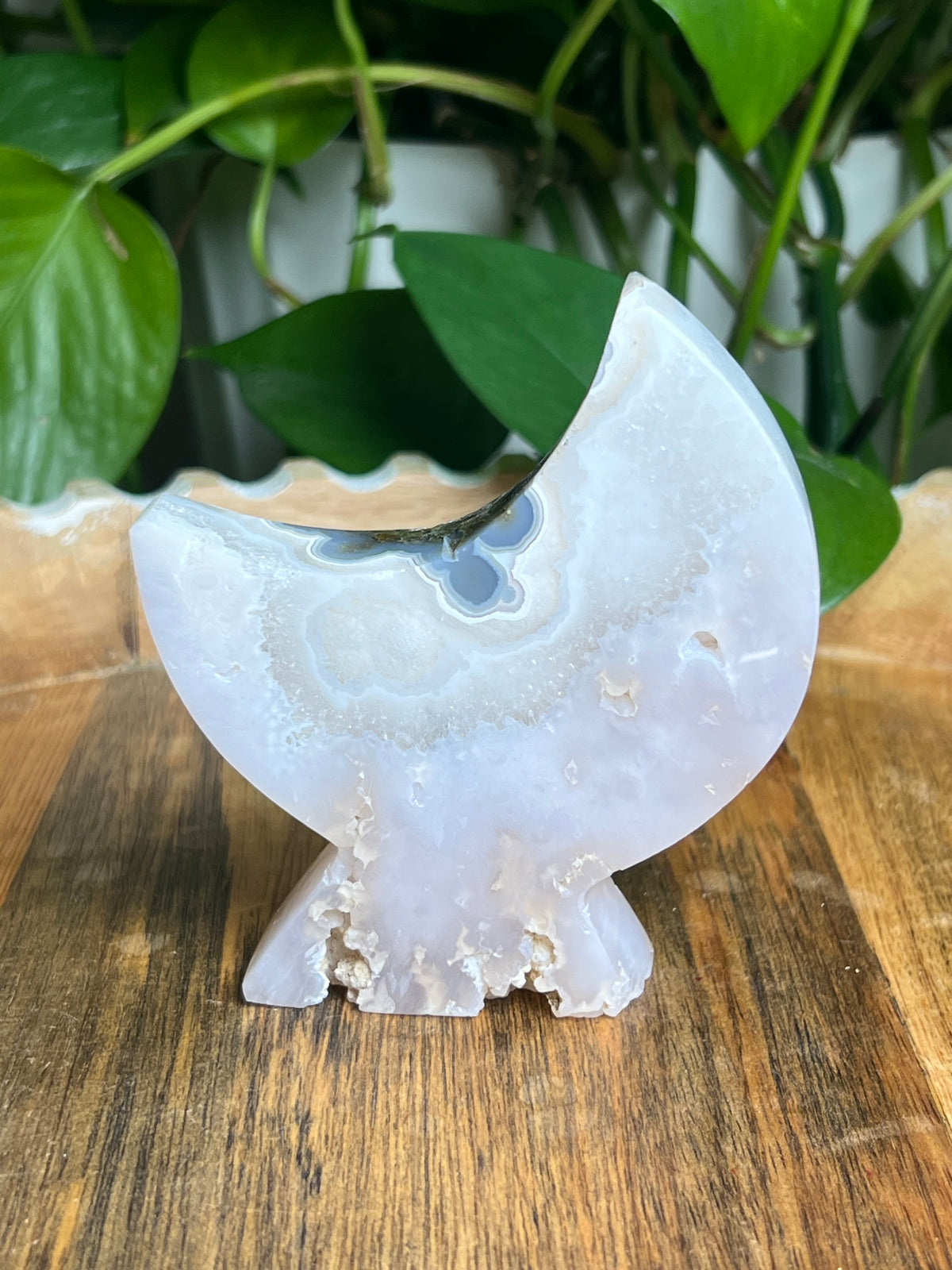 Scenic Moss Agate Self-Standing Moon: PQ