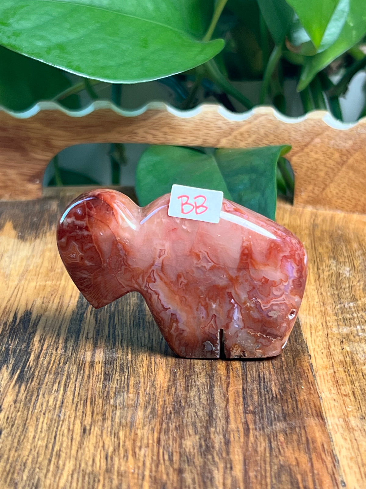 Carnelian Mini Buffalos