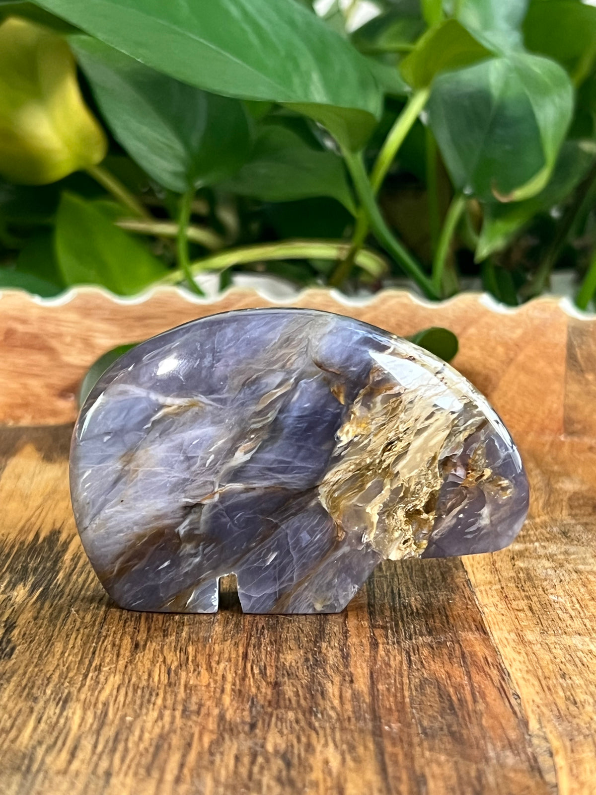 Purple Chalcedony Bear: D