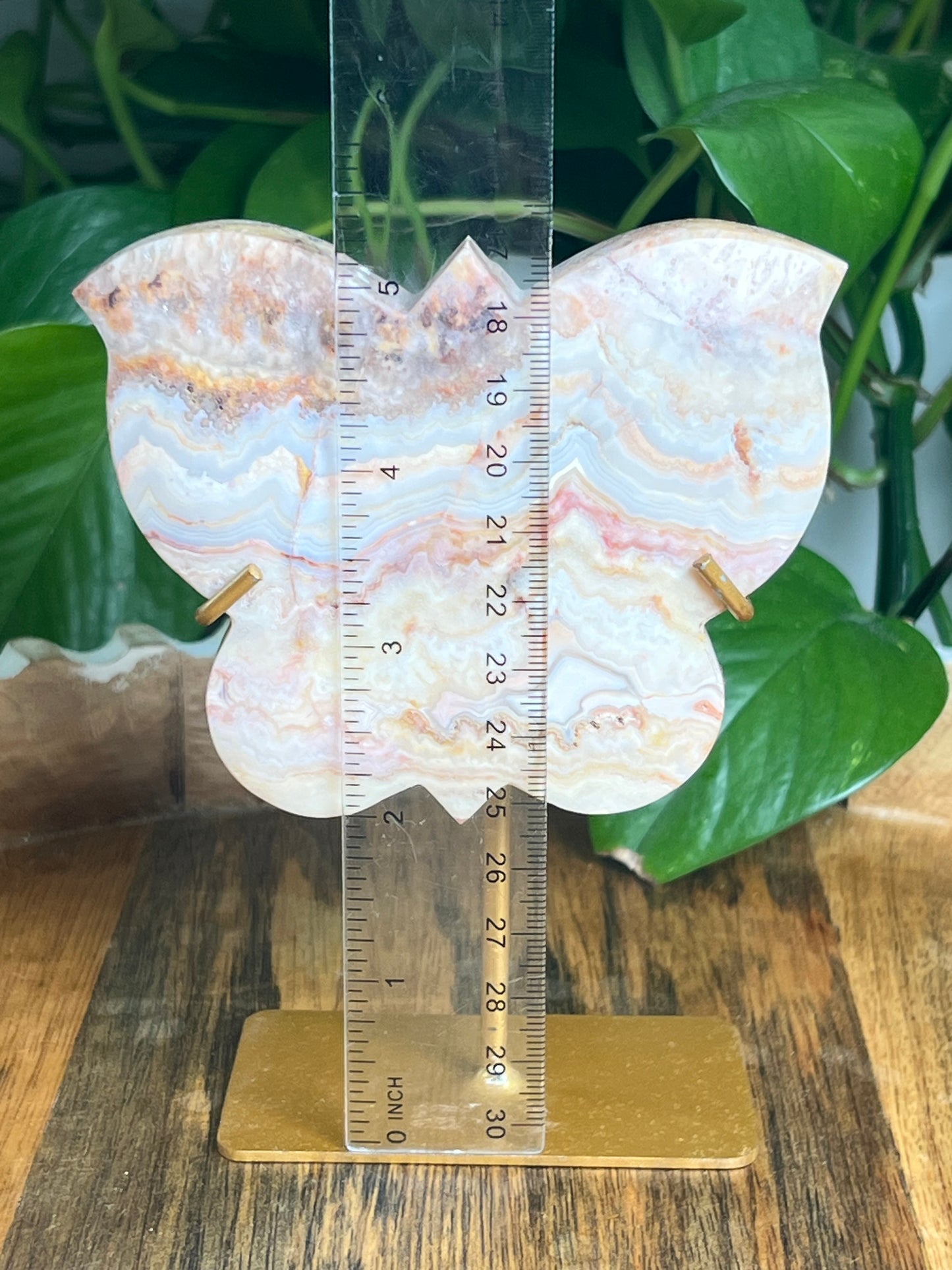 Crazy Lace Agate Butterfly: PC