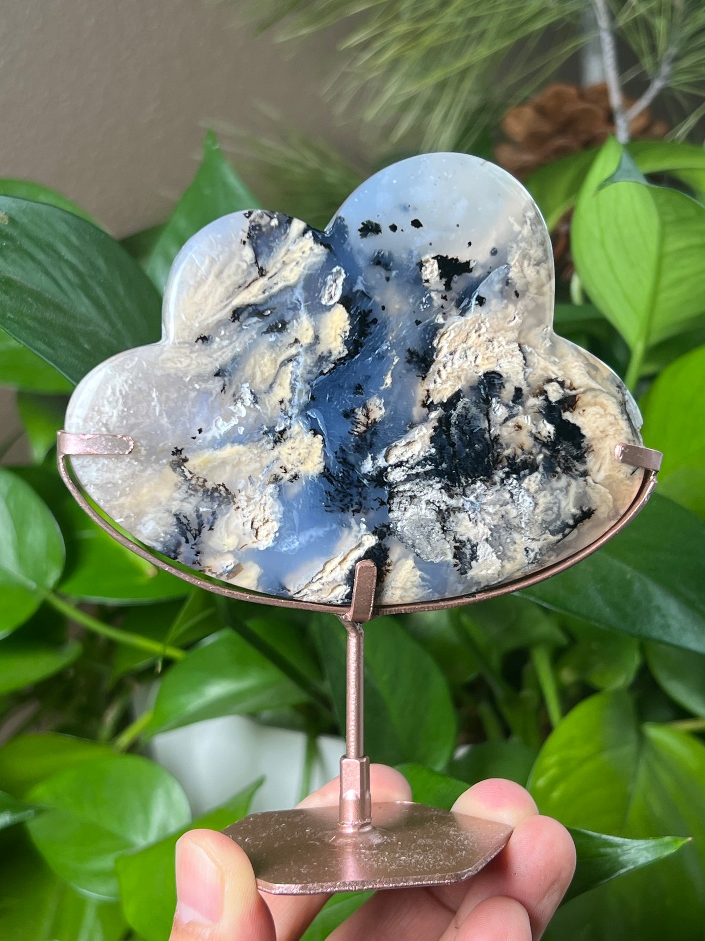 Dendritic Tiger Agate Cloud