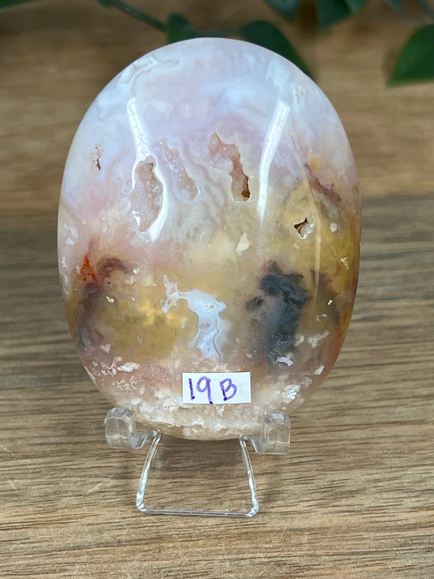 Rainbow Plume Agate Palmstone