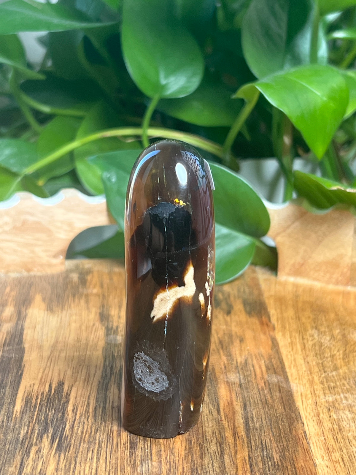 Blue Amber Freeform: Q