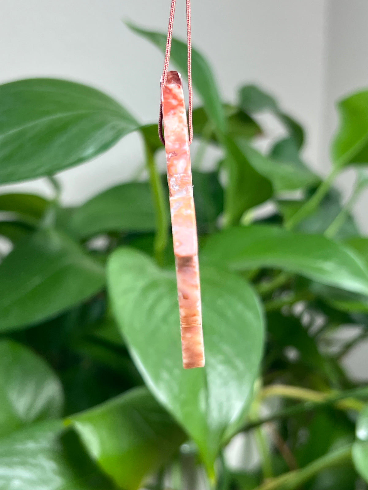 Carnelian Ornament Hummingbird: TA