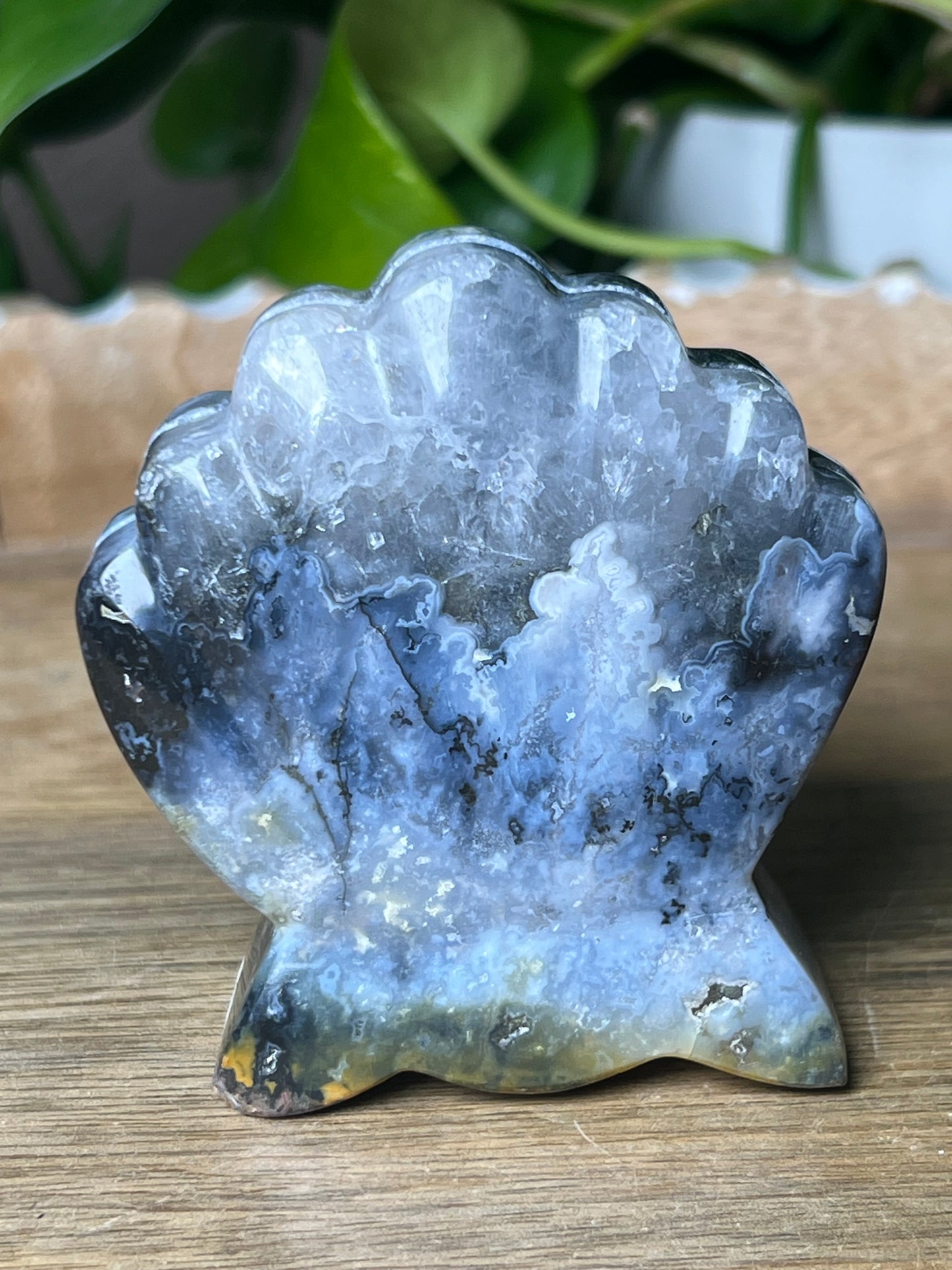 Blue Plume Agate Shell