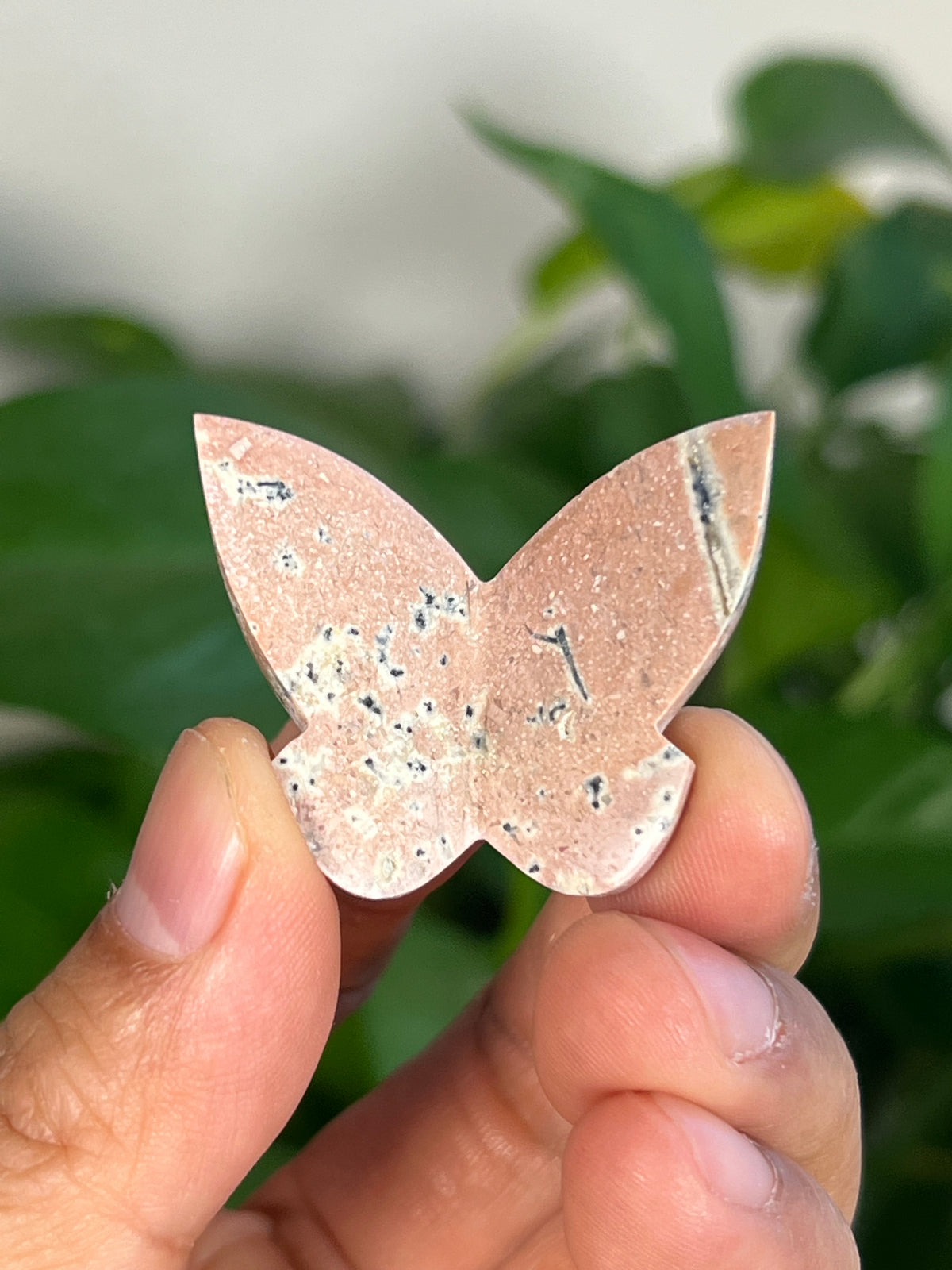 Peachy Pink Dendritic Jasper Mini 3D Butterflies