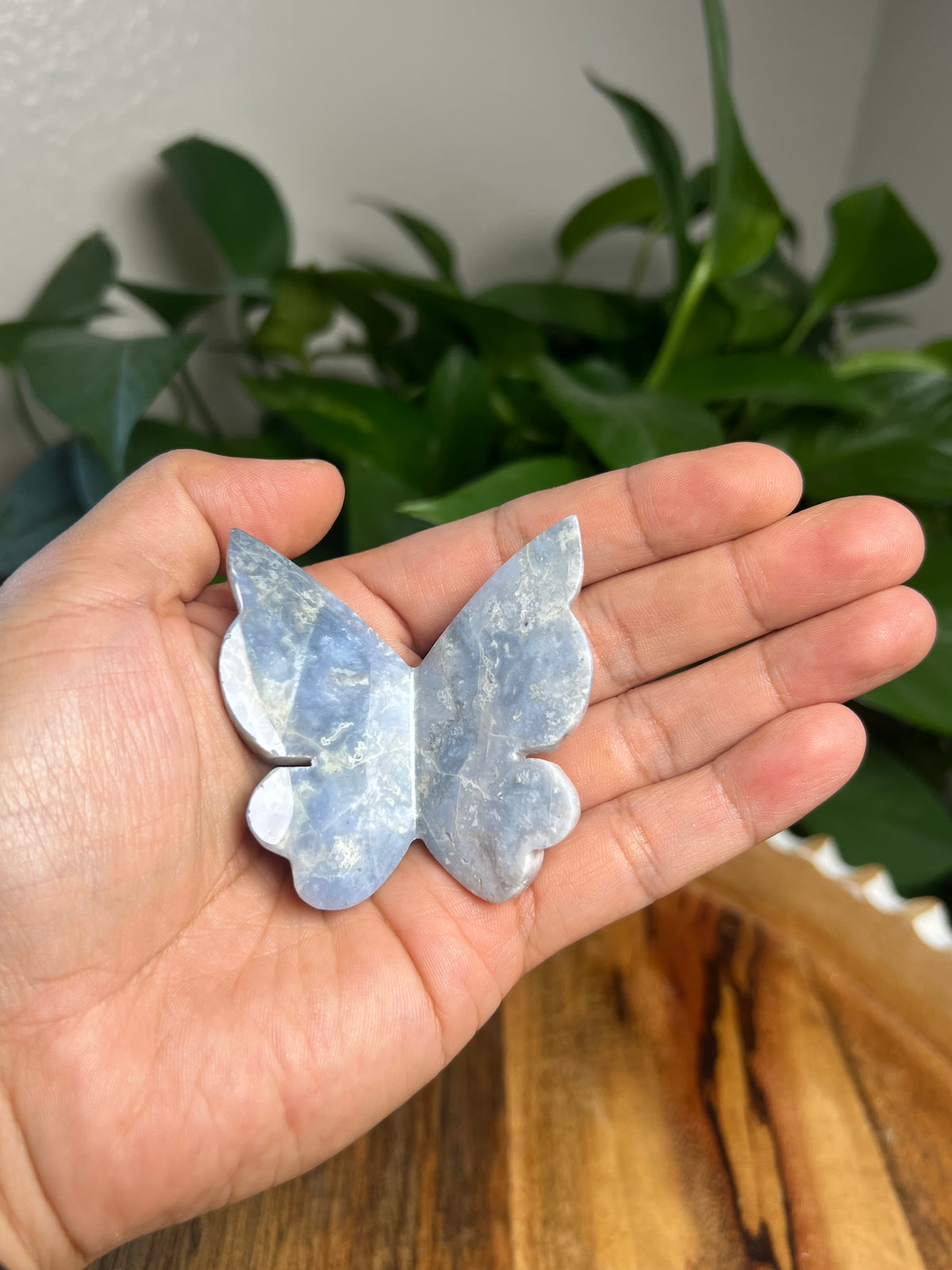 Blue Plume Agate 3D Butterfly: D
