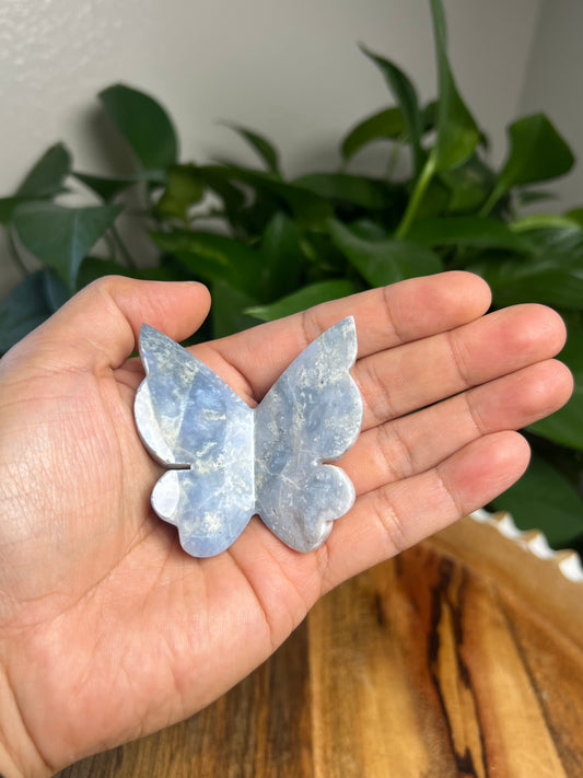 Blue Plume Agate 3D Butterfly: D