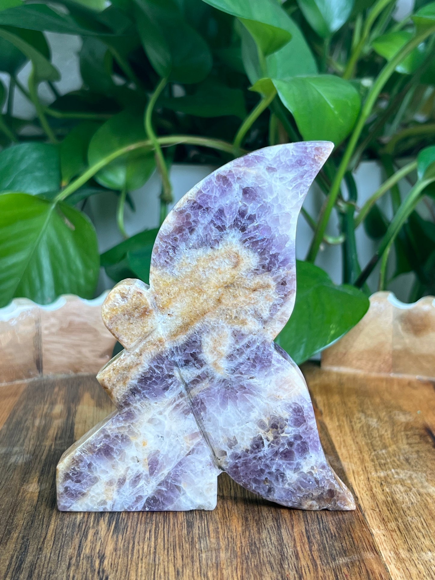 Indonesian Amethyst Fairy: LA