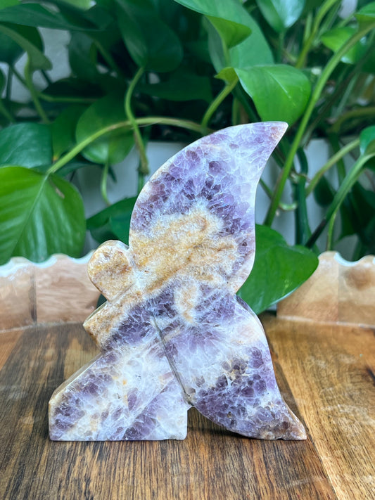 Indonesian Amethyst Fairy: LA