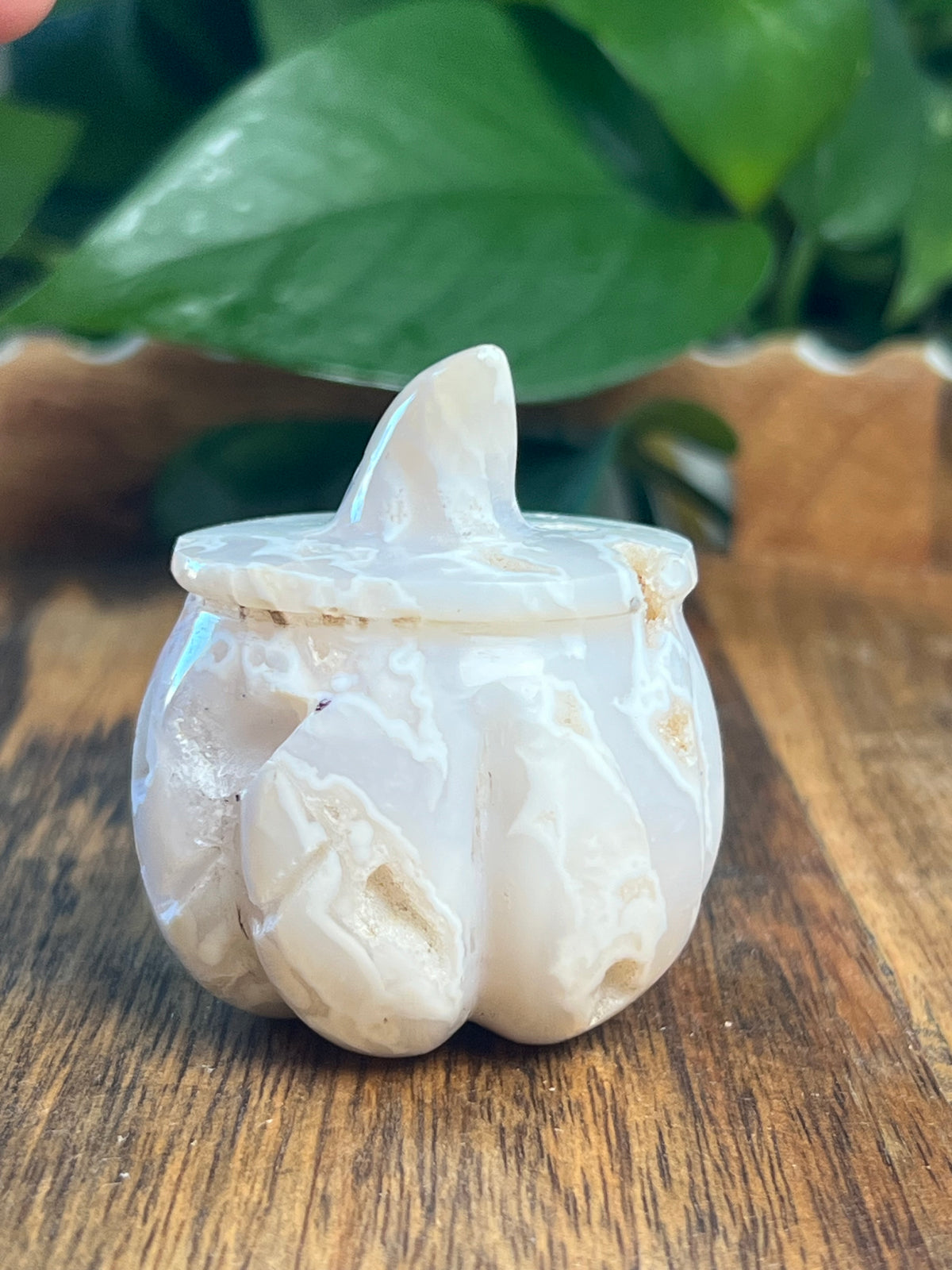 White Plume Agate Pumpkin: E