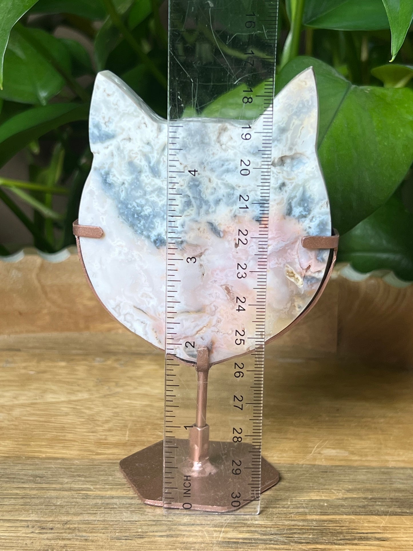 Rainbow Plume Agate Cat Head