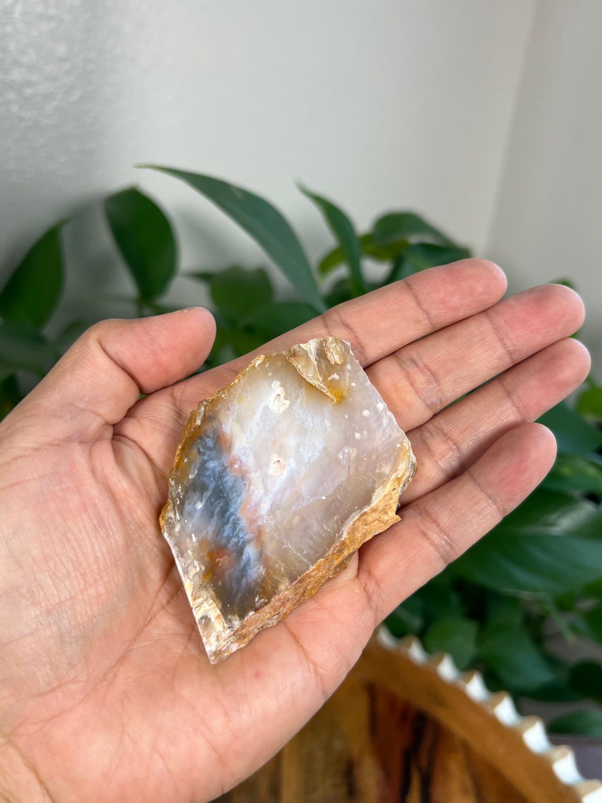 Rainbow Plume Agate Slabs