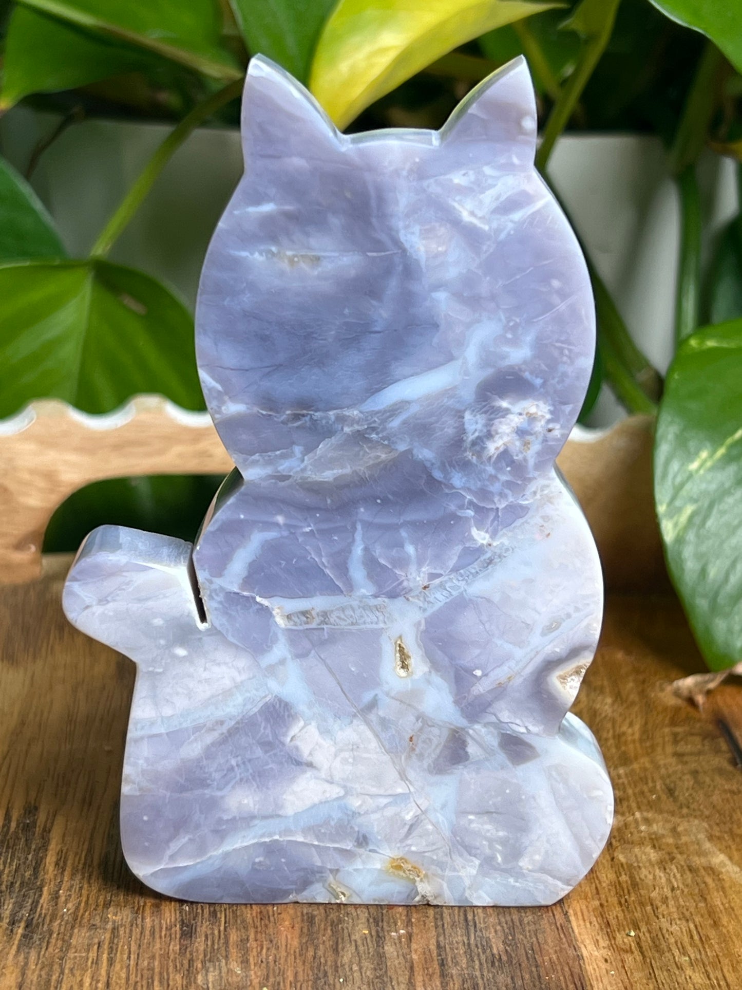 Purple Chalcedony Cat PS