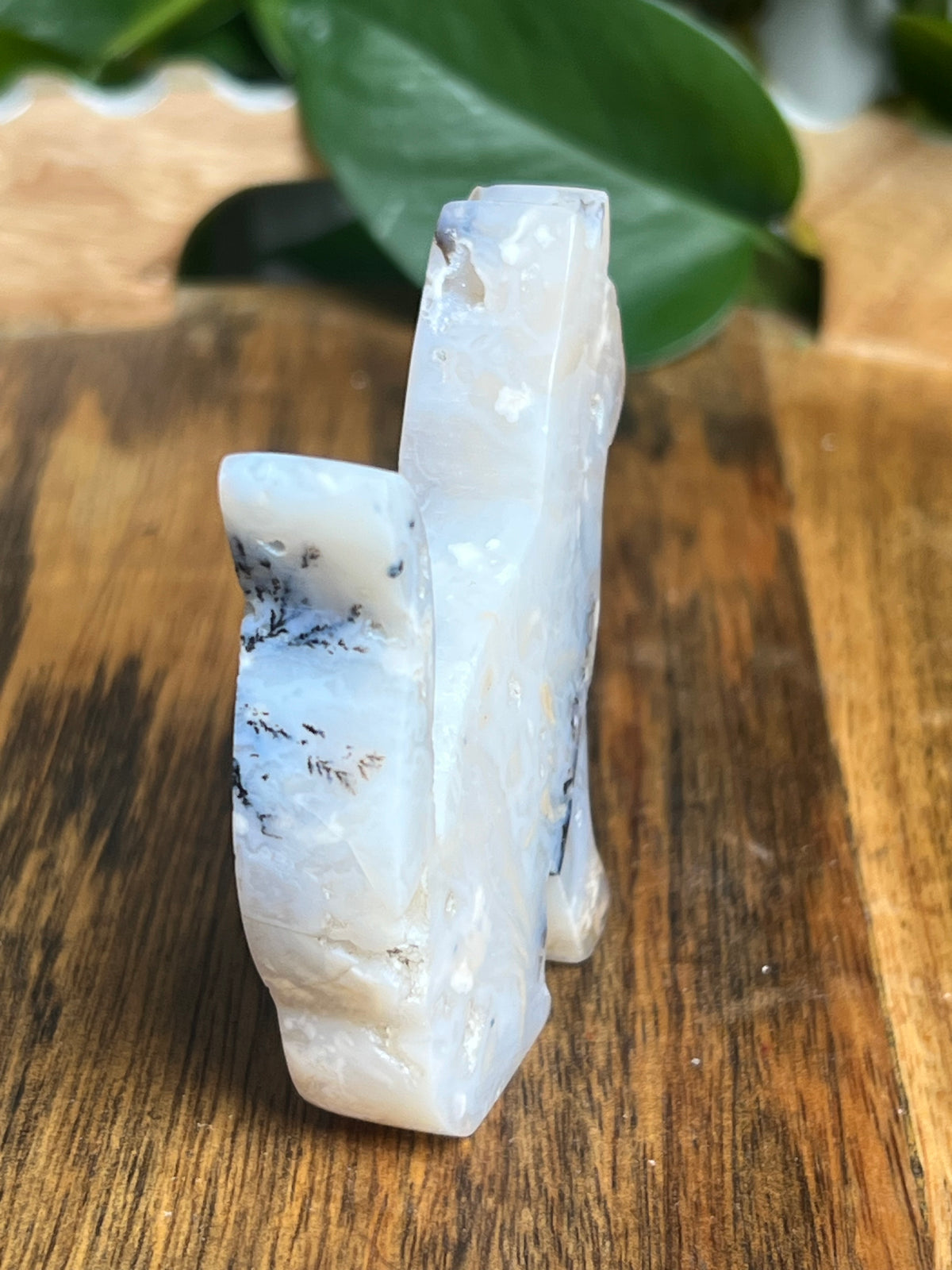Dendritic Tiger Agate Cat: PB